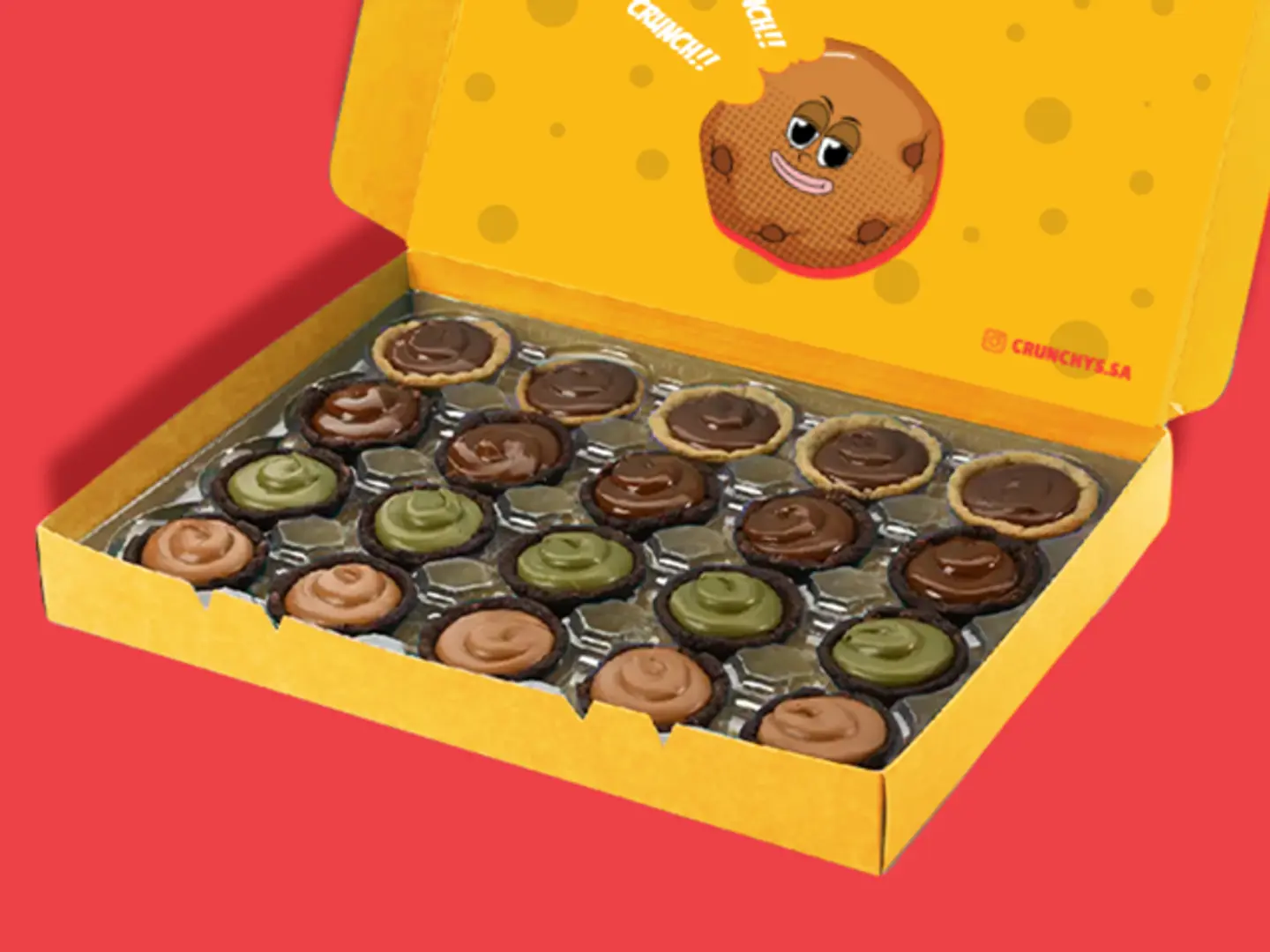 بوكس سيجنتشر سويتس