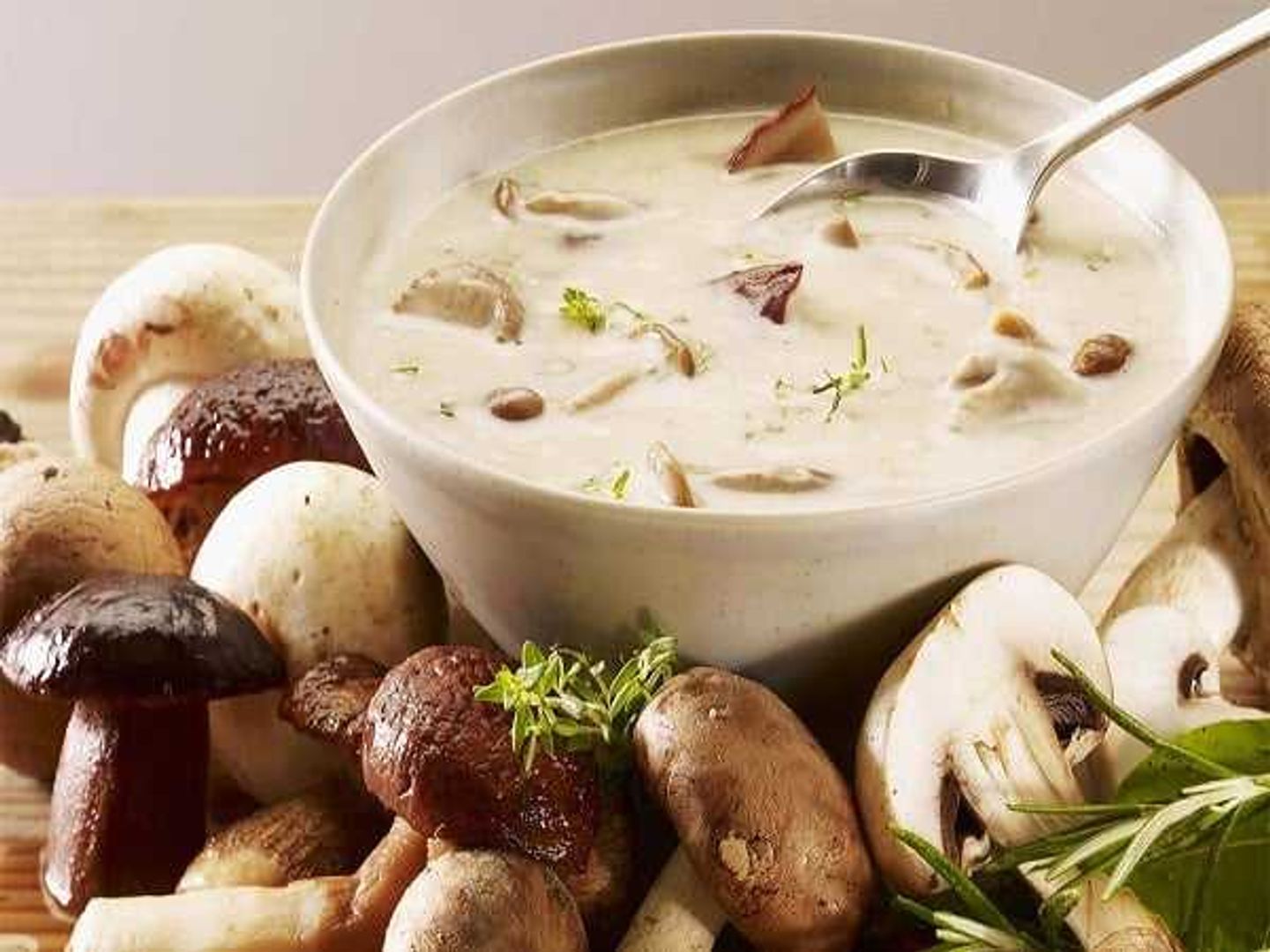شوربة مشروم