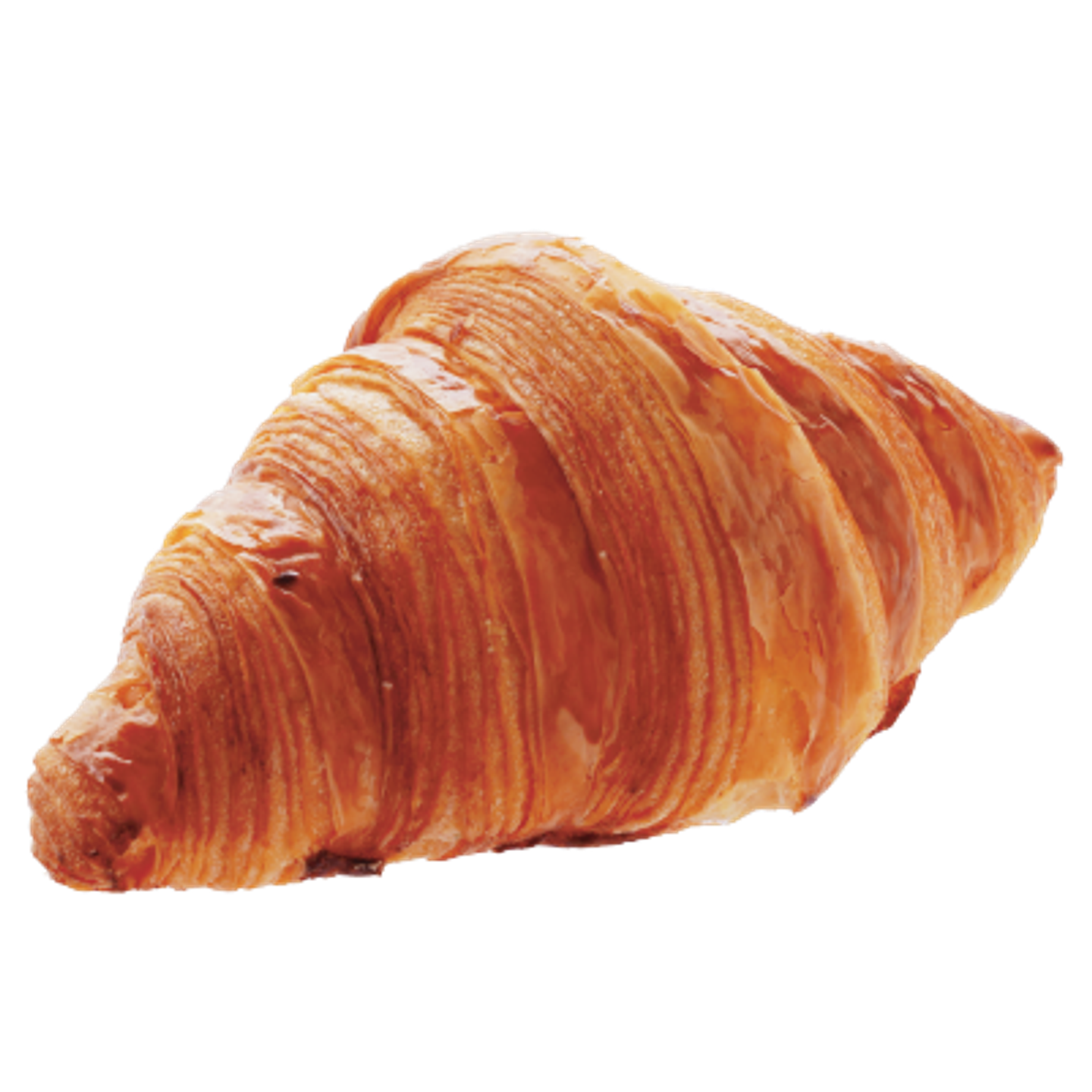 Butter Croissant