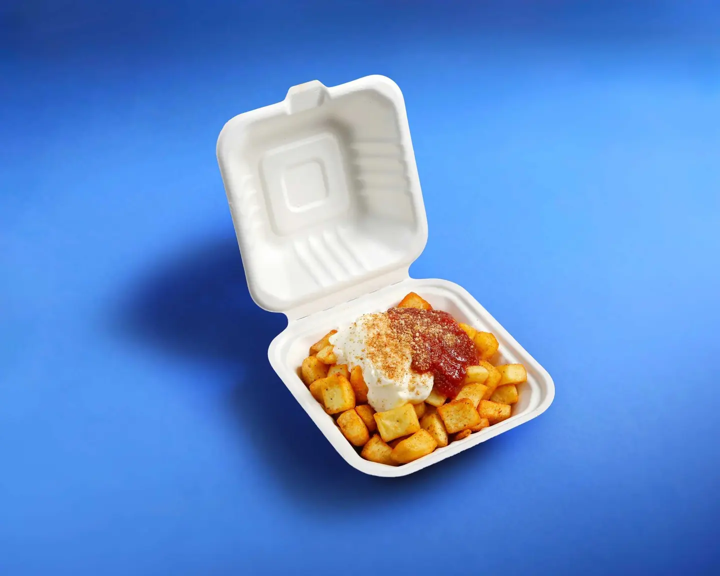 Terrible Fries