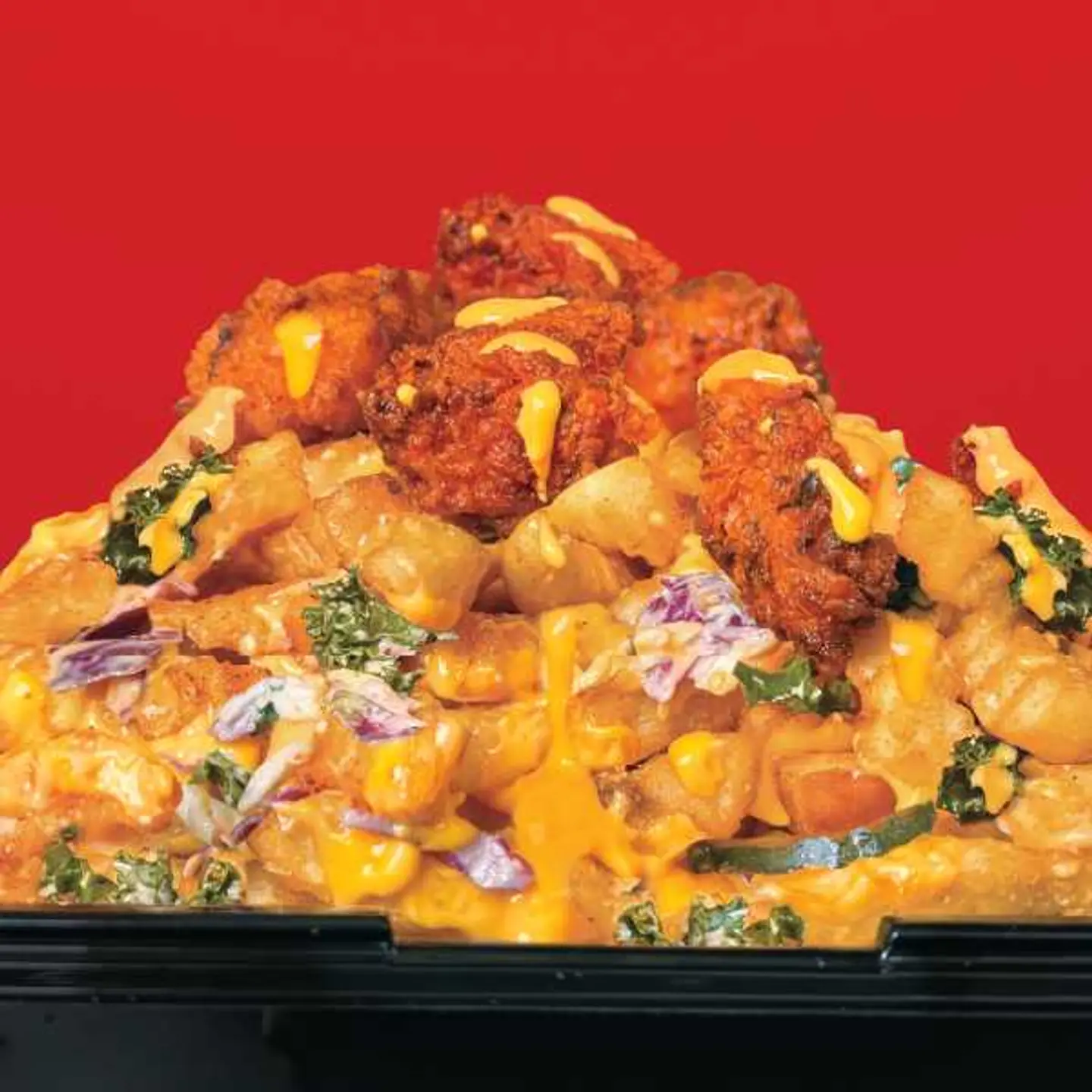 Top Loaded Fries