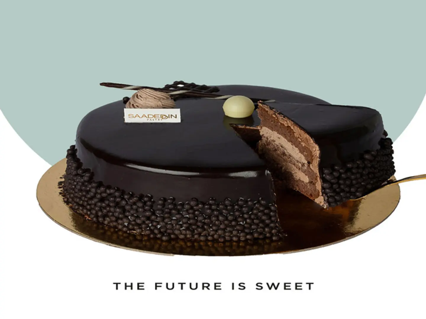 Large Sub Chocolate Cake