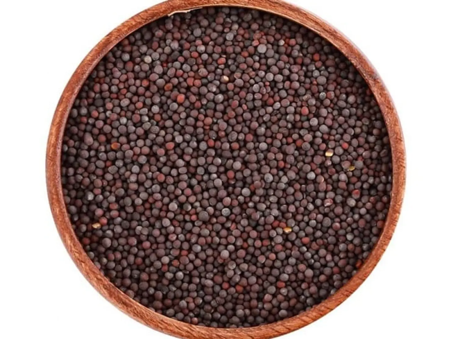 First Grade Mustard Seeds