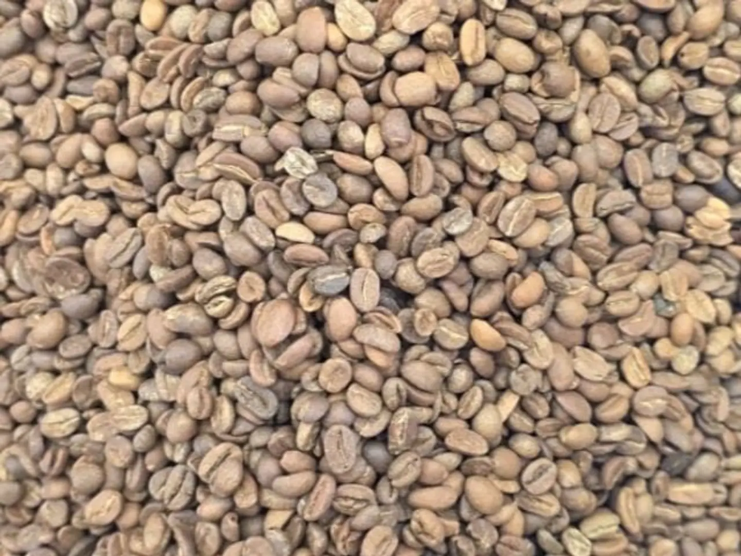 Harari Coffee, First Grade, Dark Roast