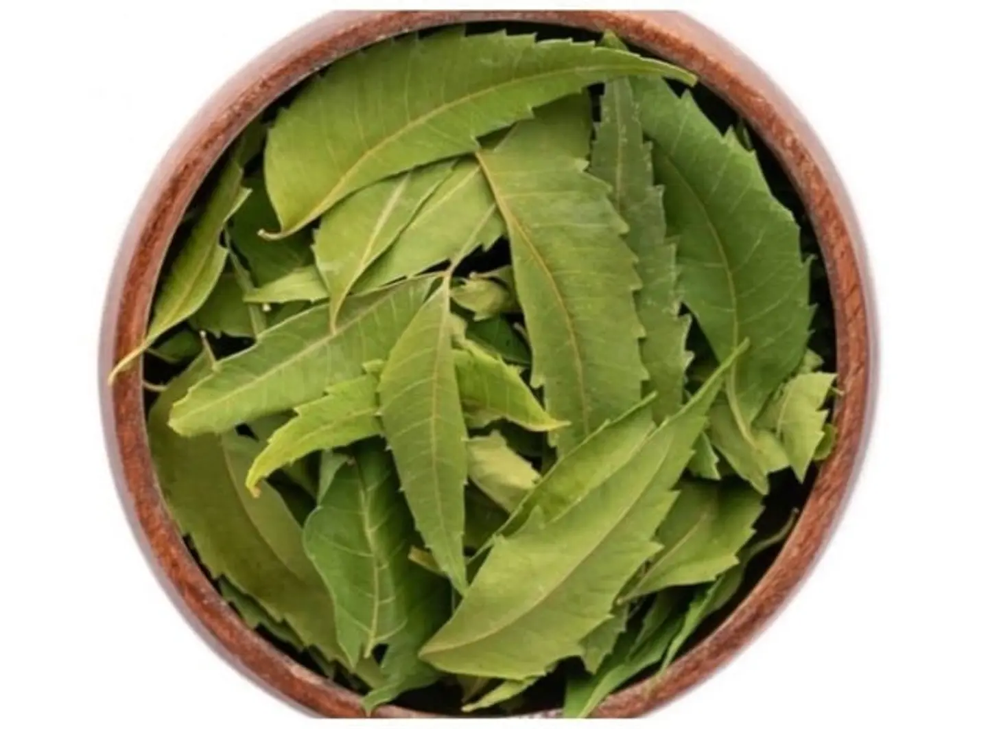 Neem Leaves