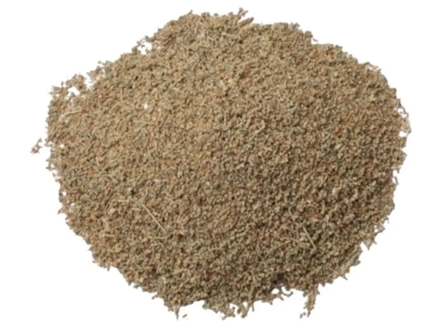 Egyptian Wormwood