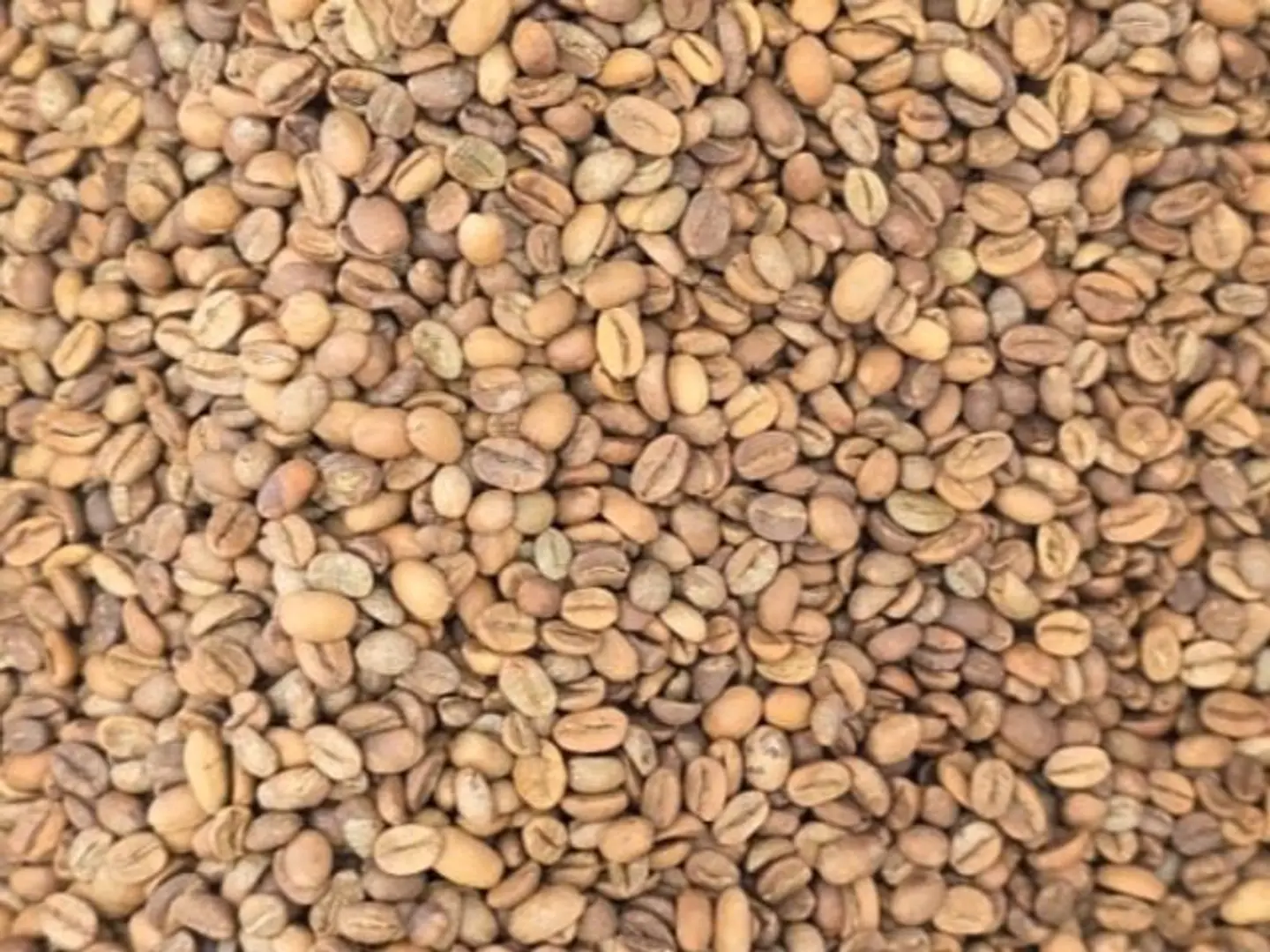 Harari Coffee, First Class, Medium Roast