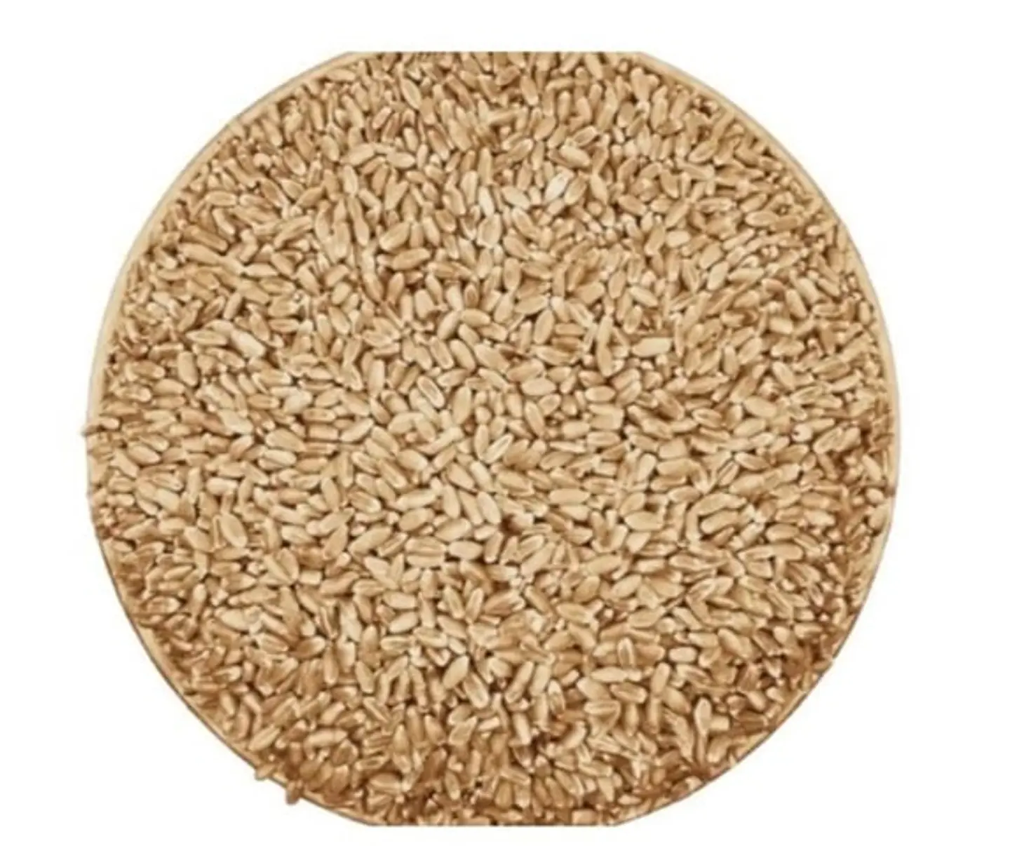 Najran Organic Wheat, 1 Kg