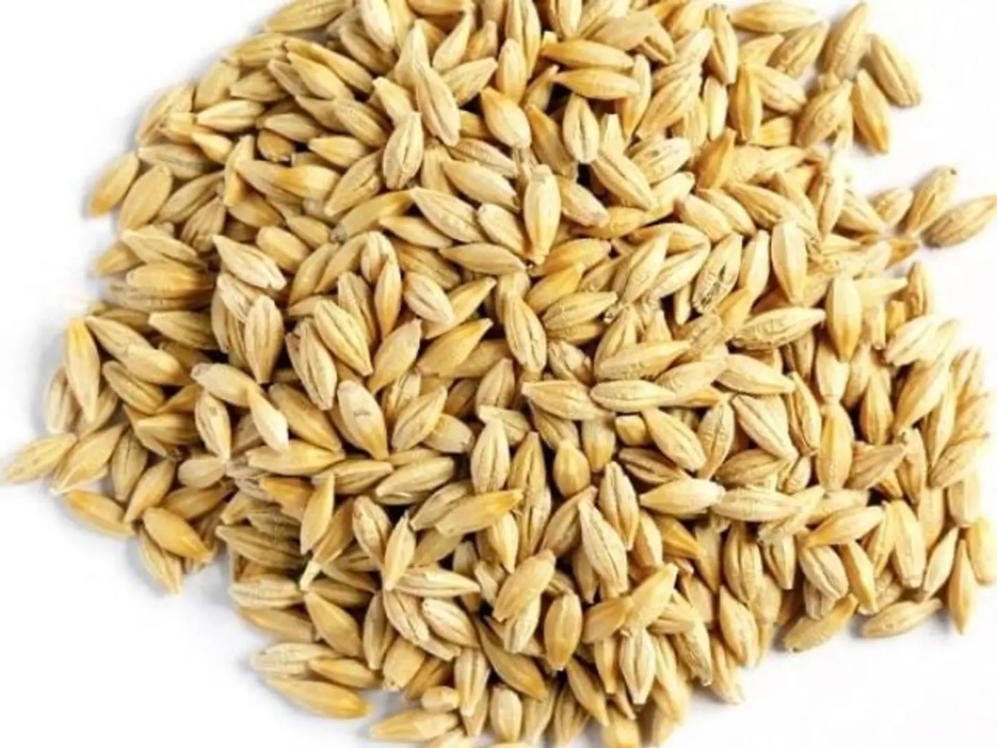Organic Qassim Barley, 1 Kg