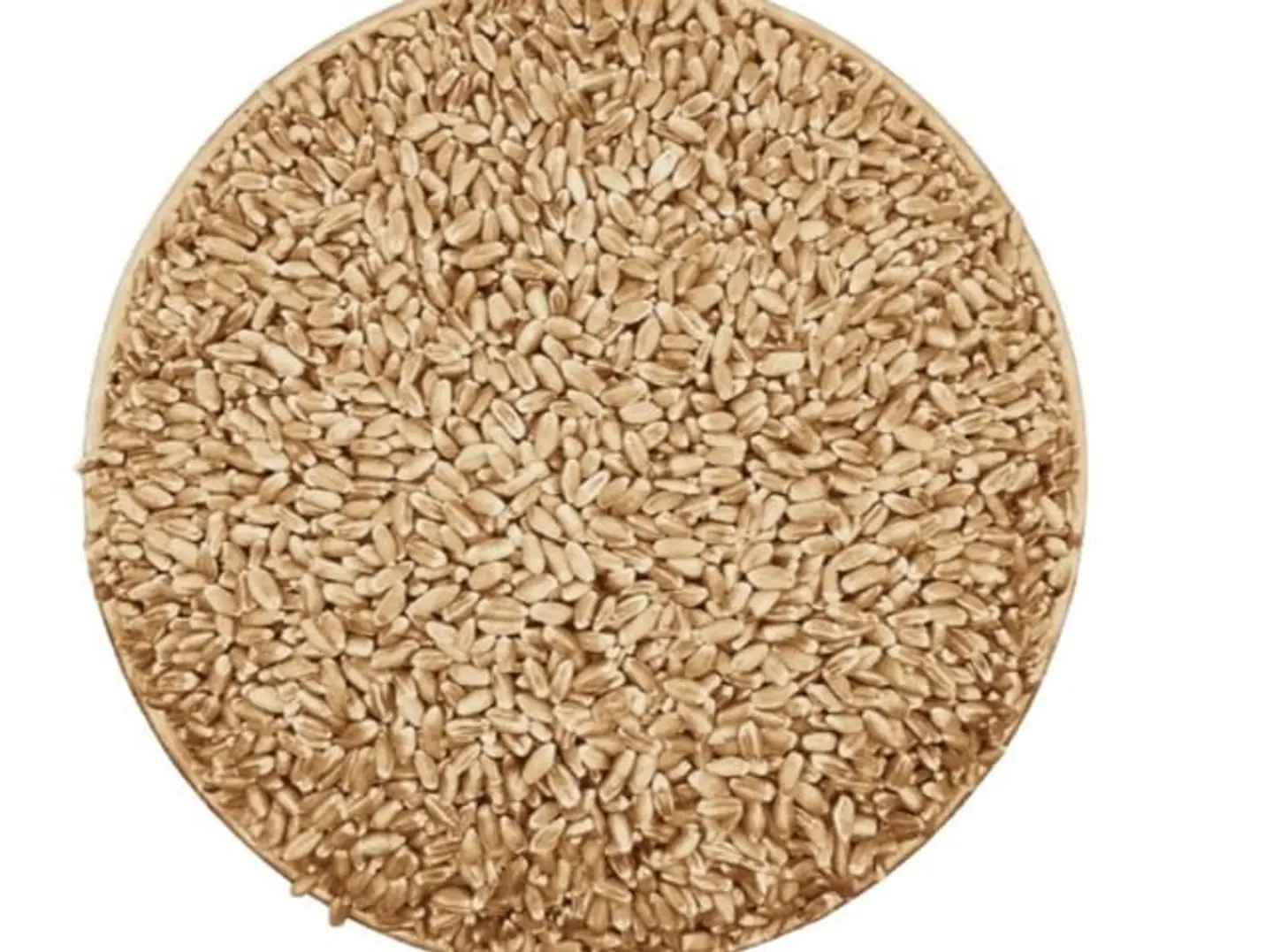 Najran Organic Wheat, 1 Kg
