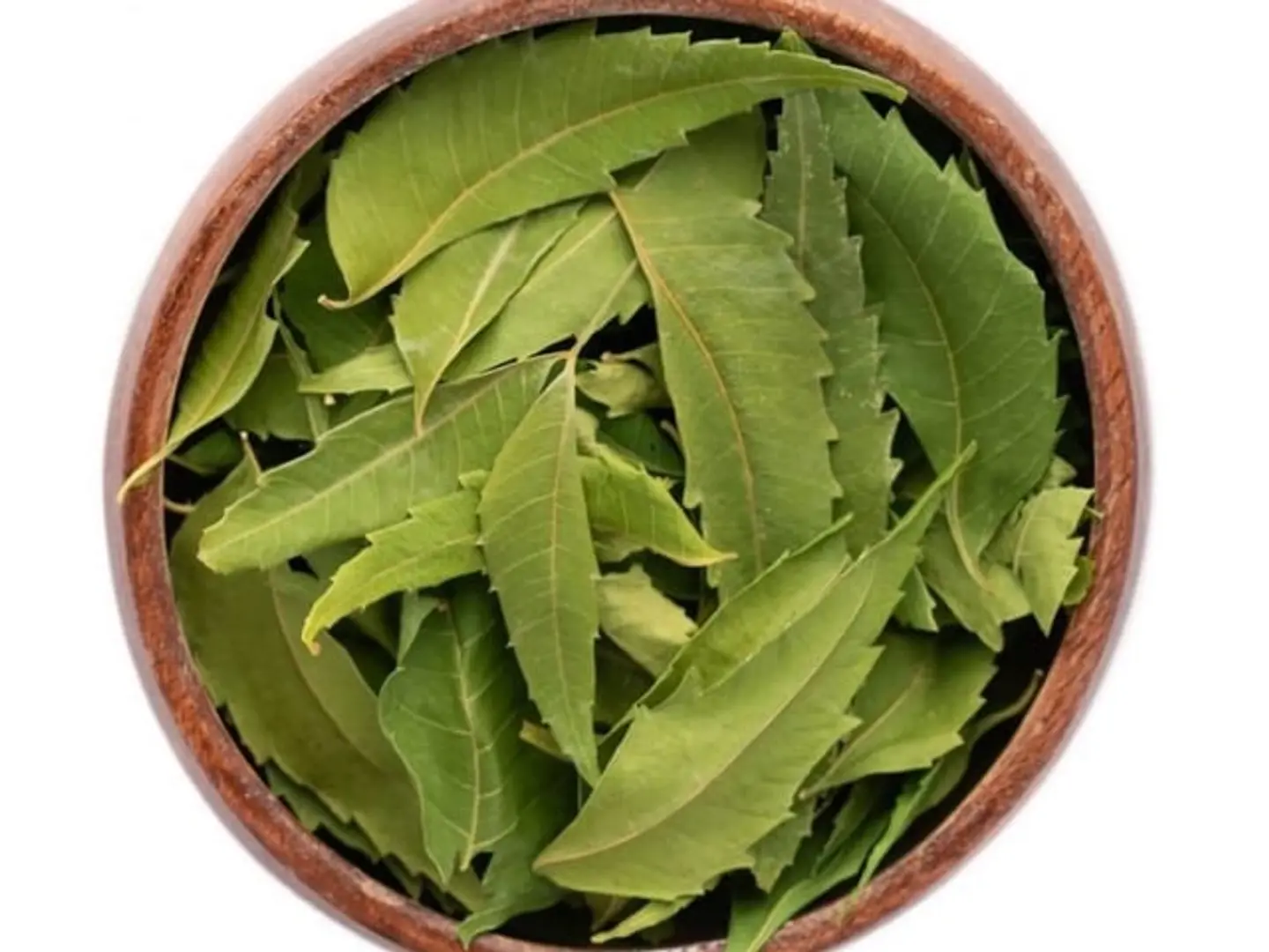 Neem Leaves