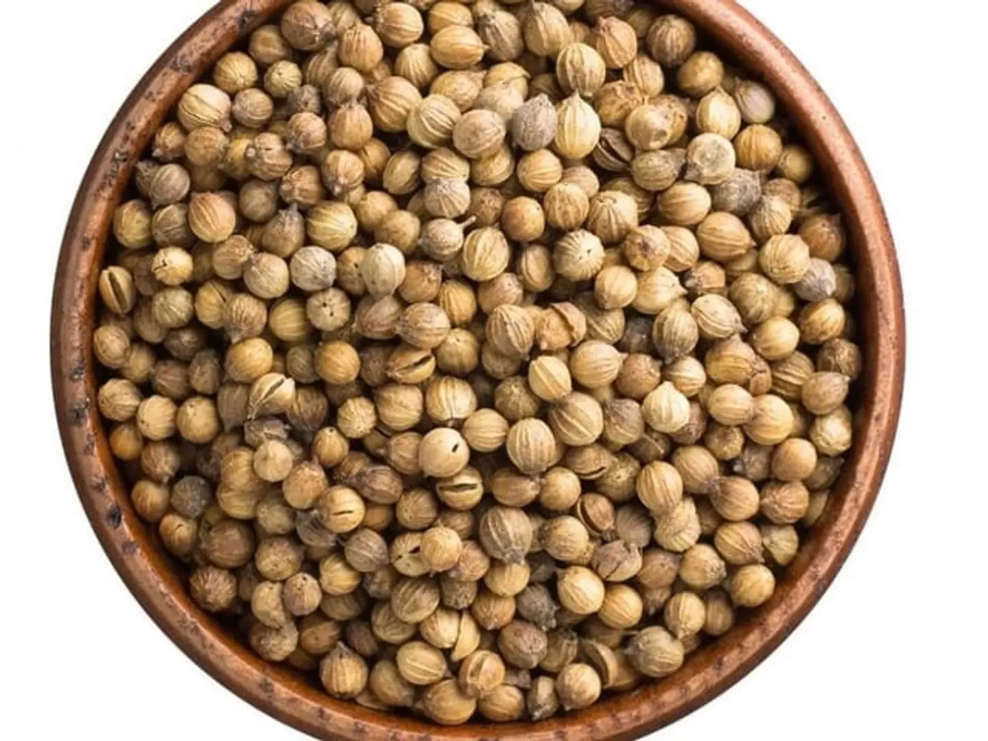 First Grade Coriander Seeds