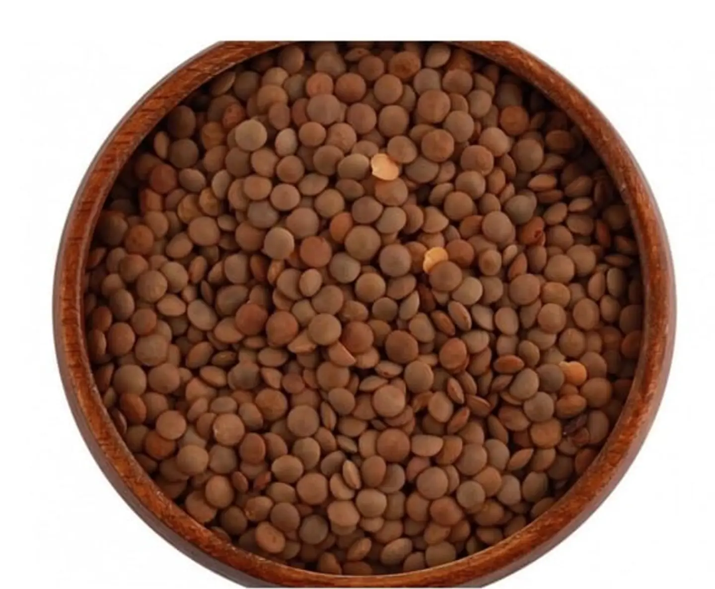 Brown Lentils