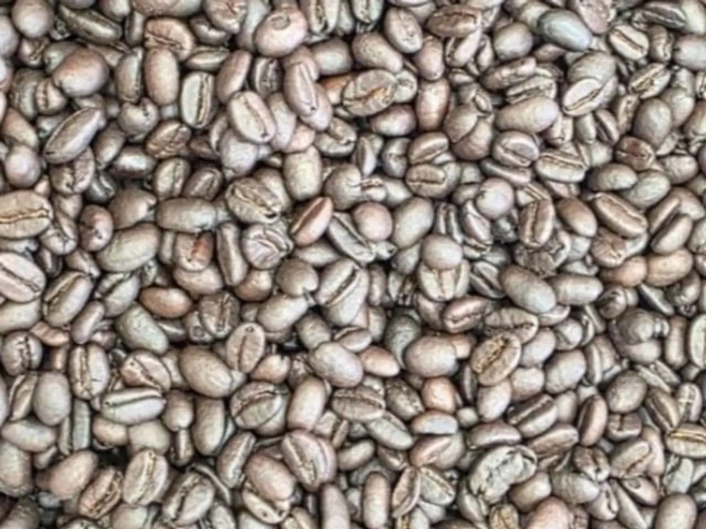 قهوة تركيّة مختصة حمصة غامق(داكن)