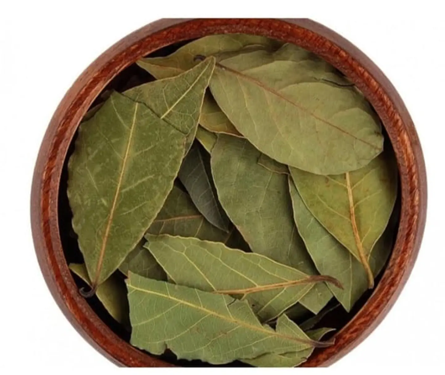 First Grade Bay Leaves