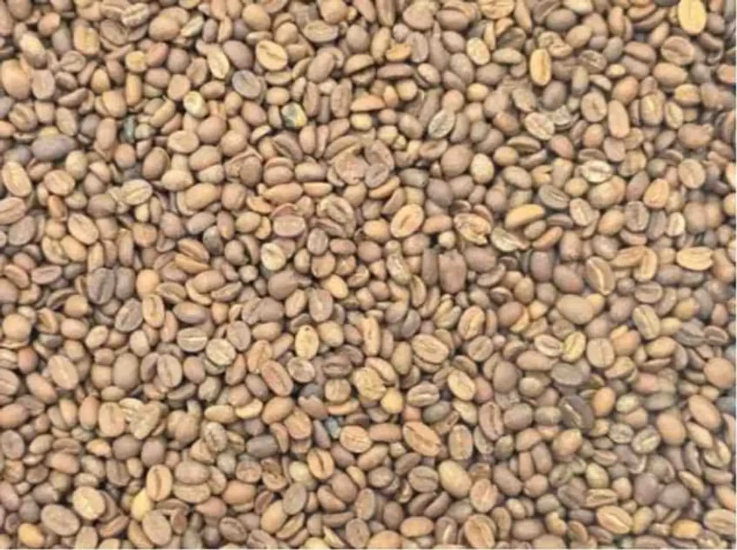 قهوة خولاني درجة اولى حمصة غامق