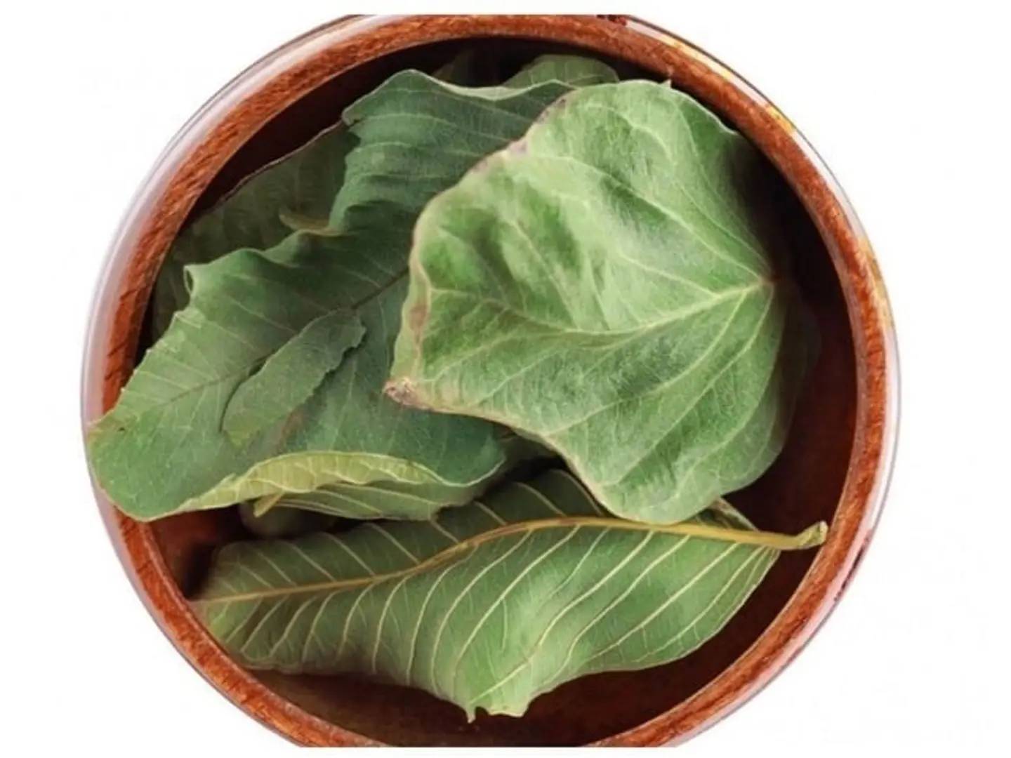 Guava Leaves