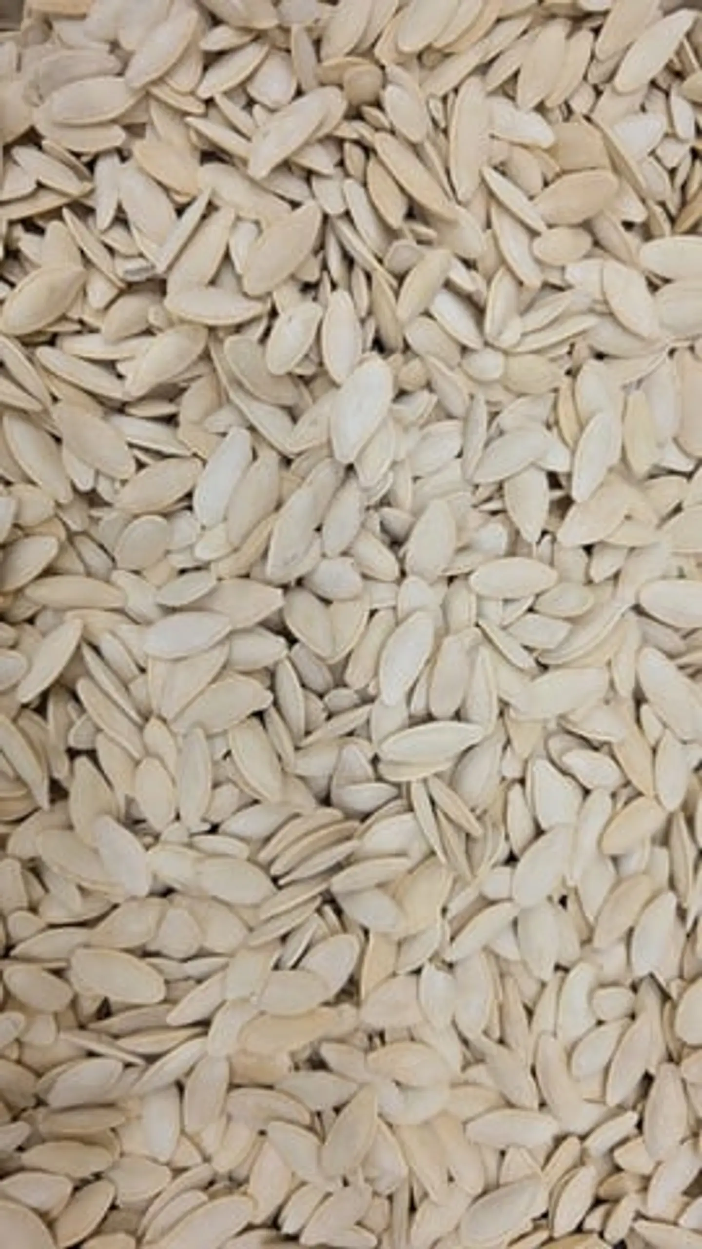 Love, Sunflower Seeds, Salted Zucchini