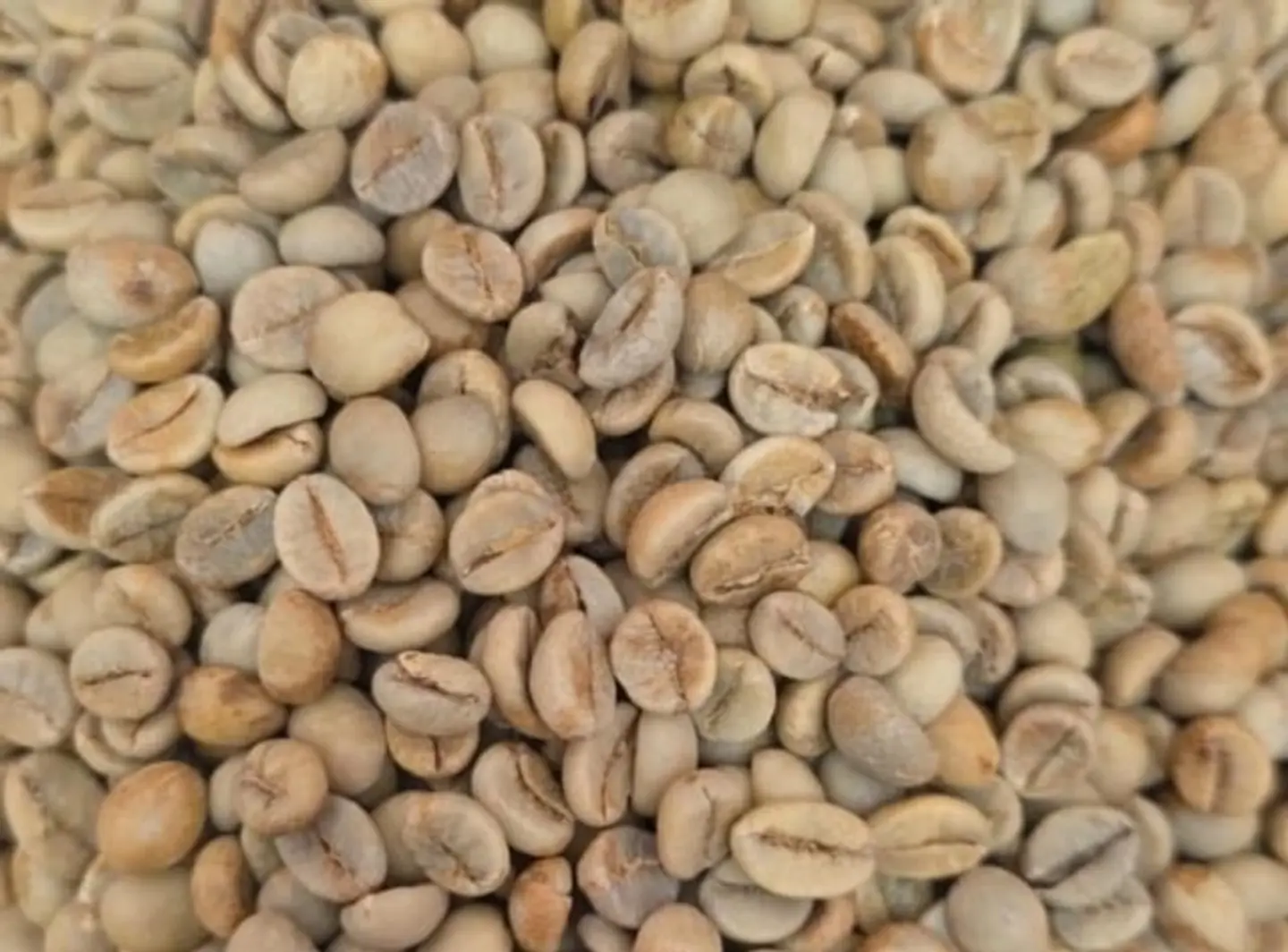 Umm Habal's Coffee, Happy And Raw