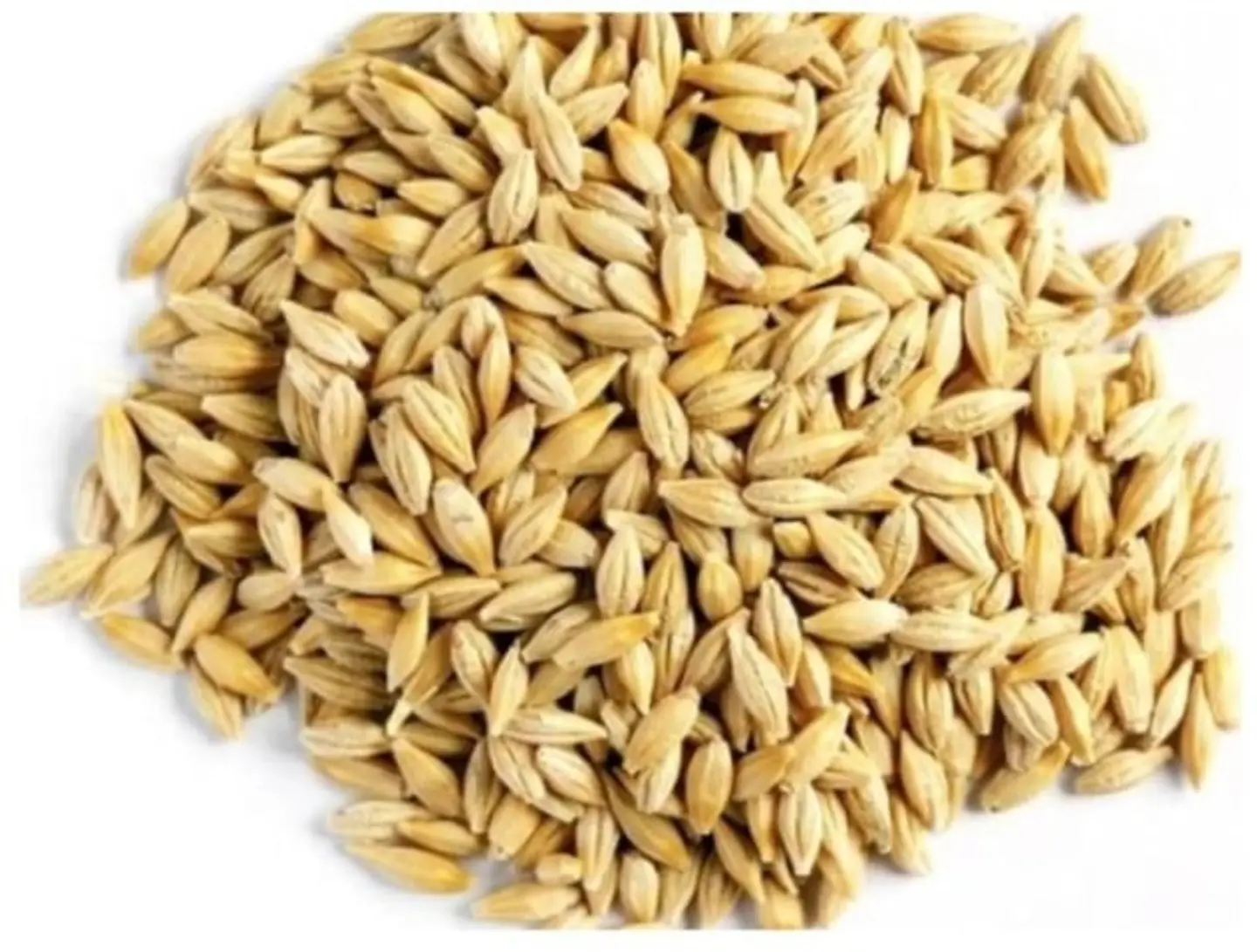 Organic Qassim Barley, 1 Kg
