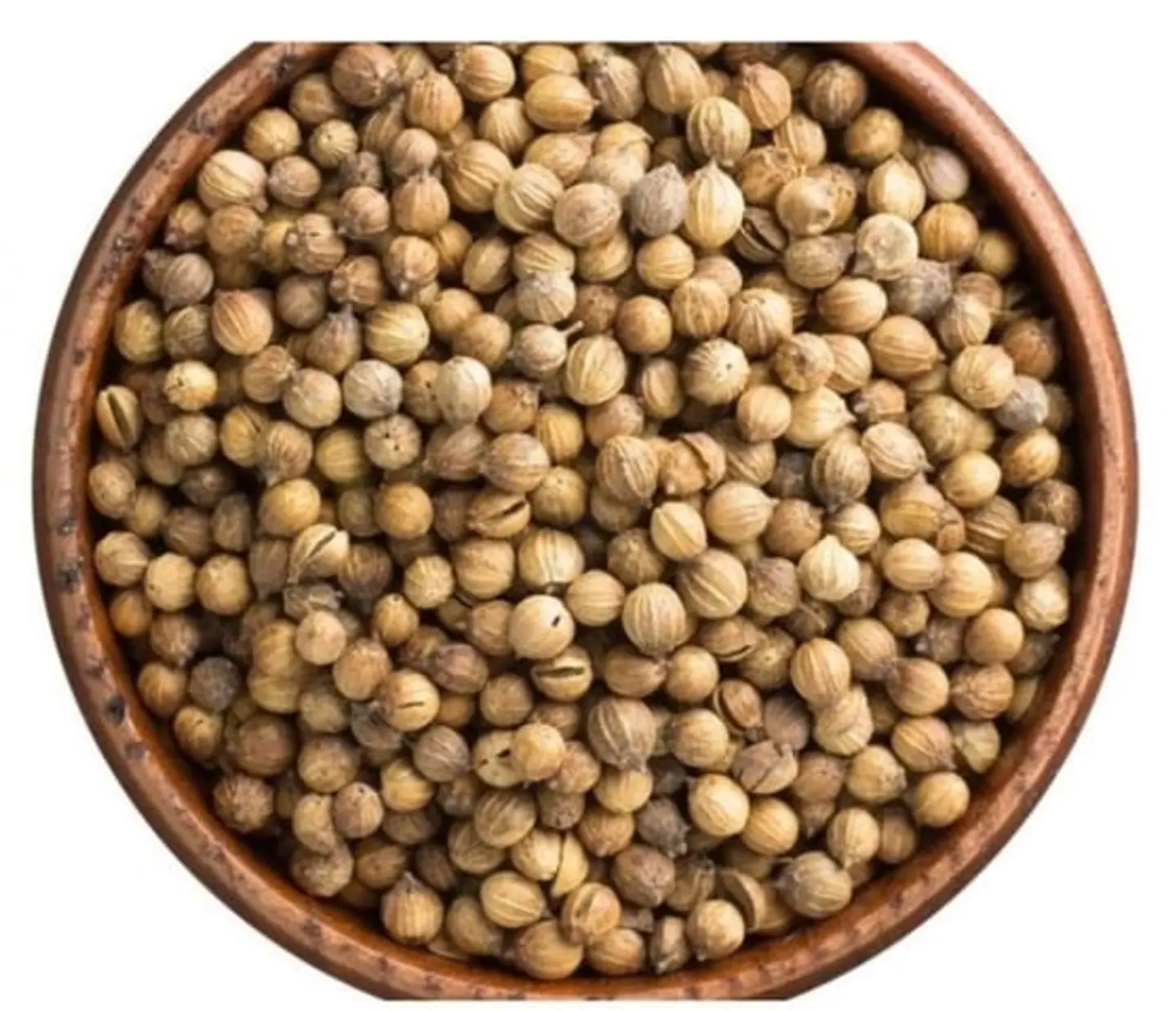 First Grade Coriander Seeds