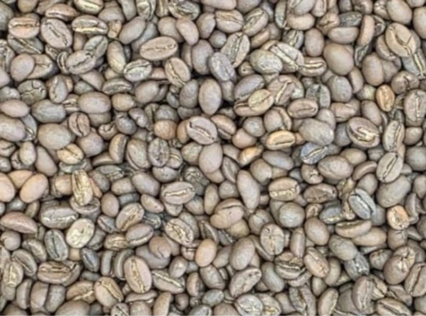 Turkish Specialty Coffee