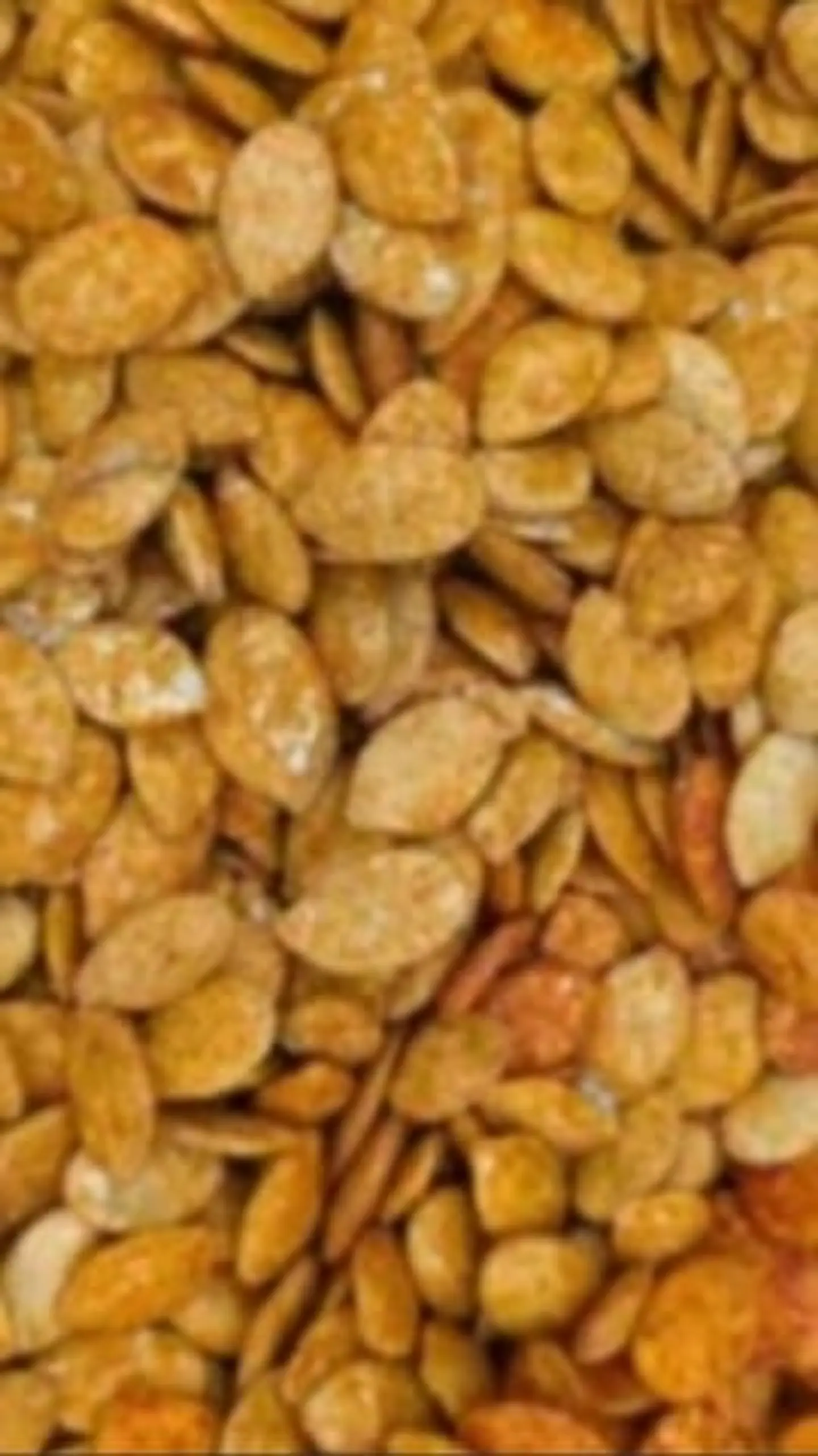 حب قرع مدخن