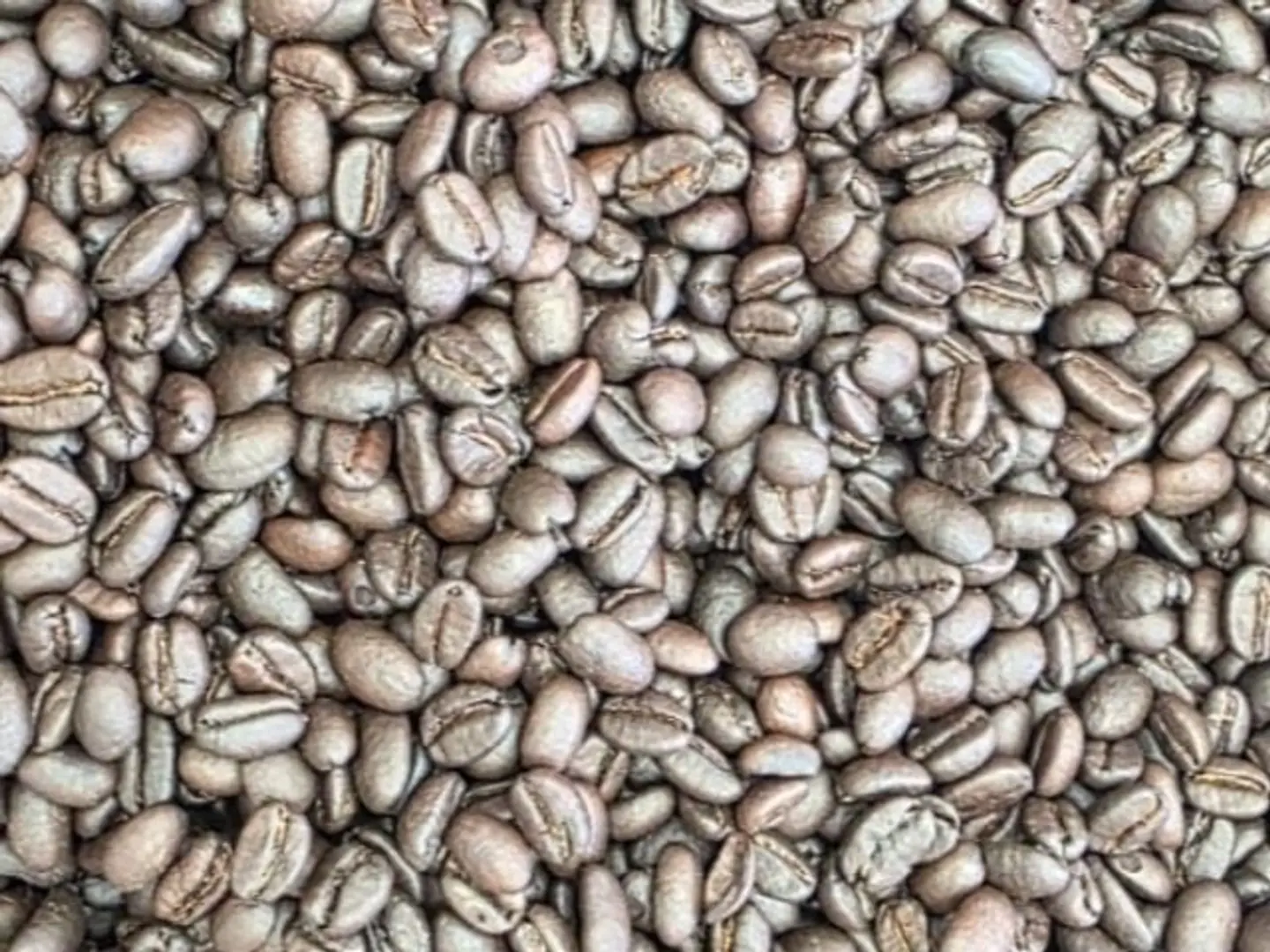 Specialty Turkish Coffee, Dark Roast