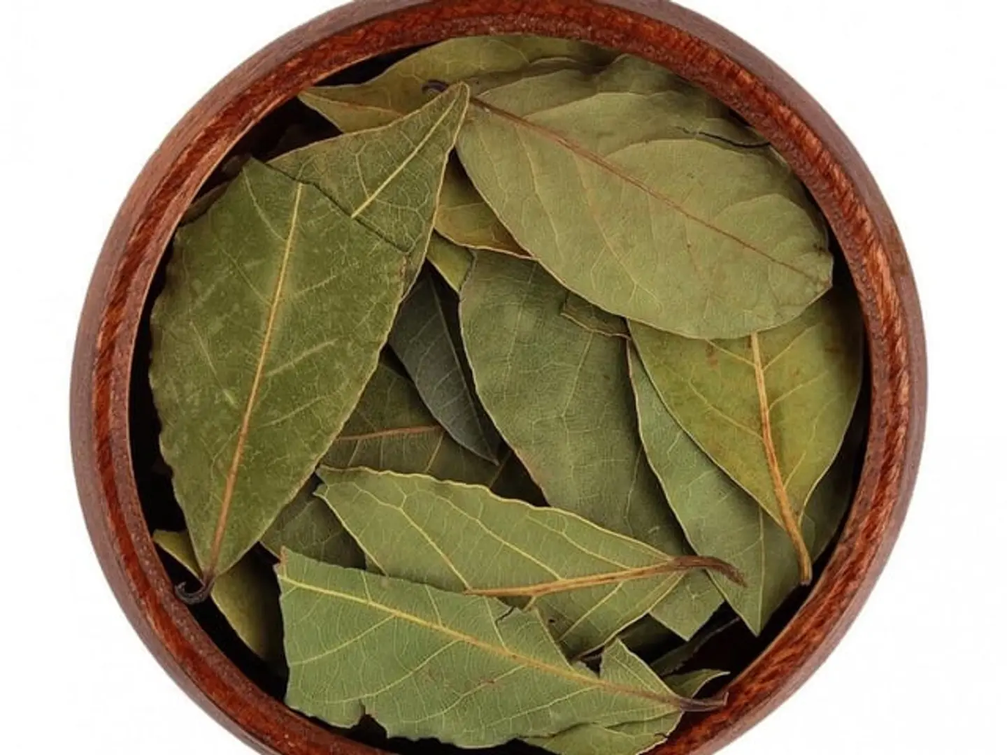 First Grade Bay Leaves