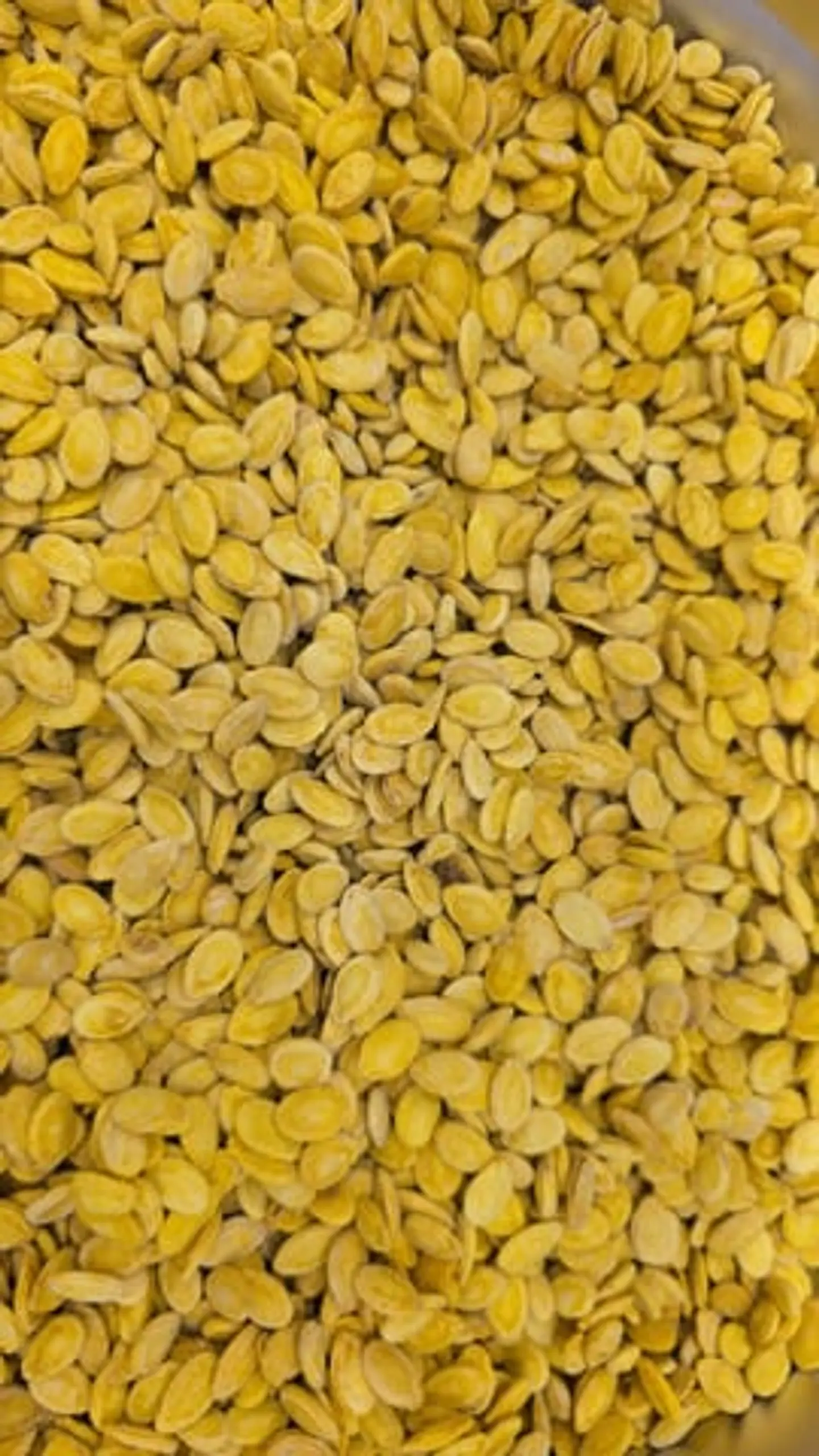 Egyptian Sunflower Seed Love