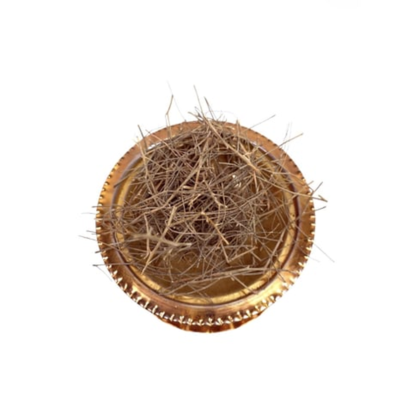 عشبة المدينة