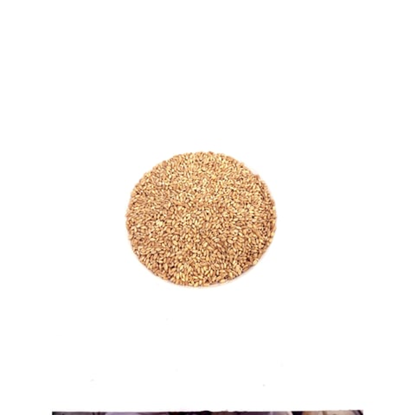 Australian Wheat 1 Kg