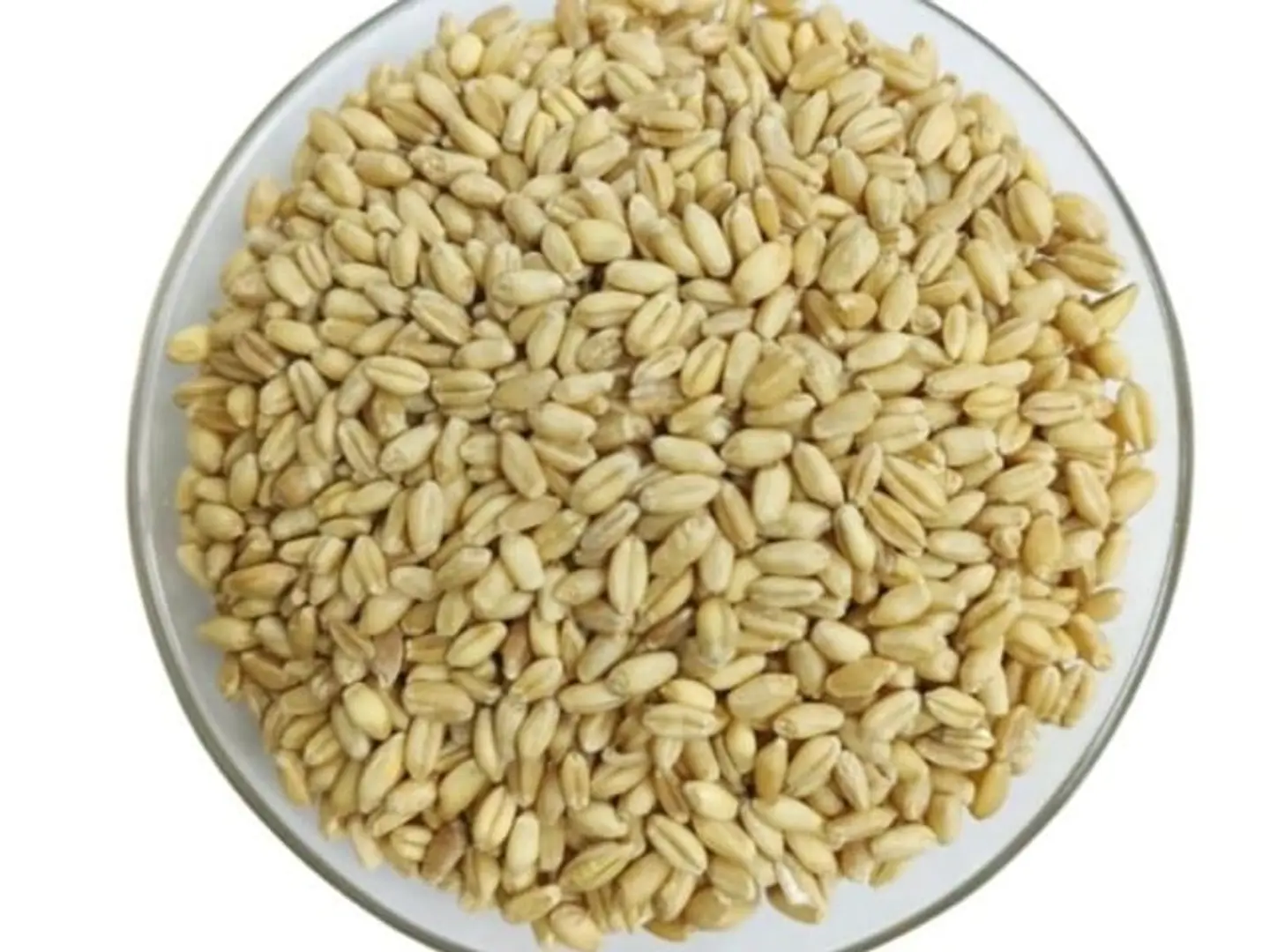 Australian Wheat 1 Kg