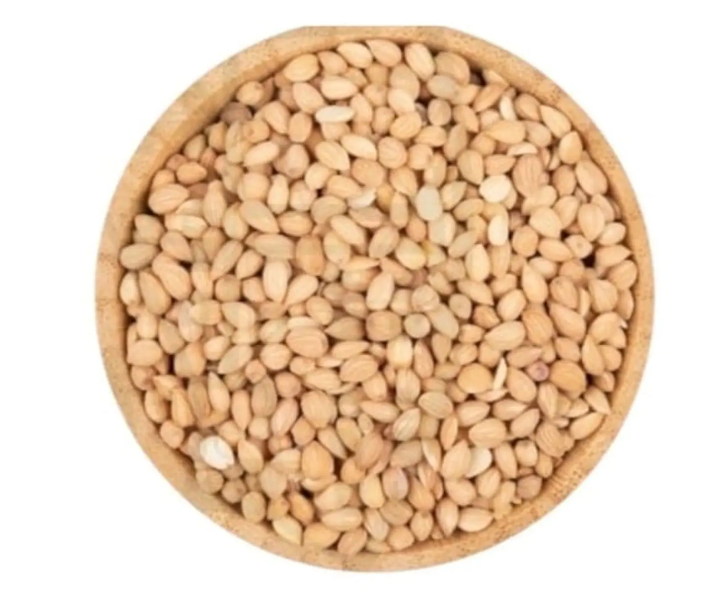 محلب سوري درجة أولى