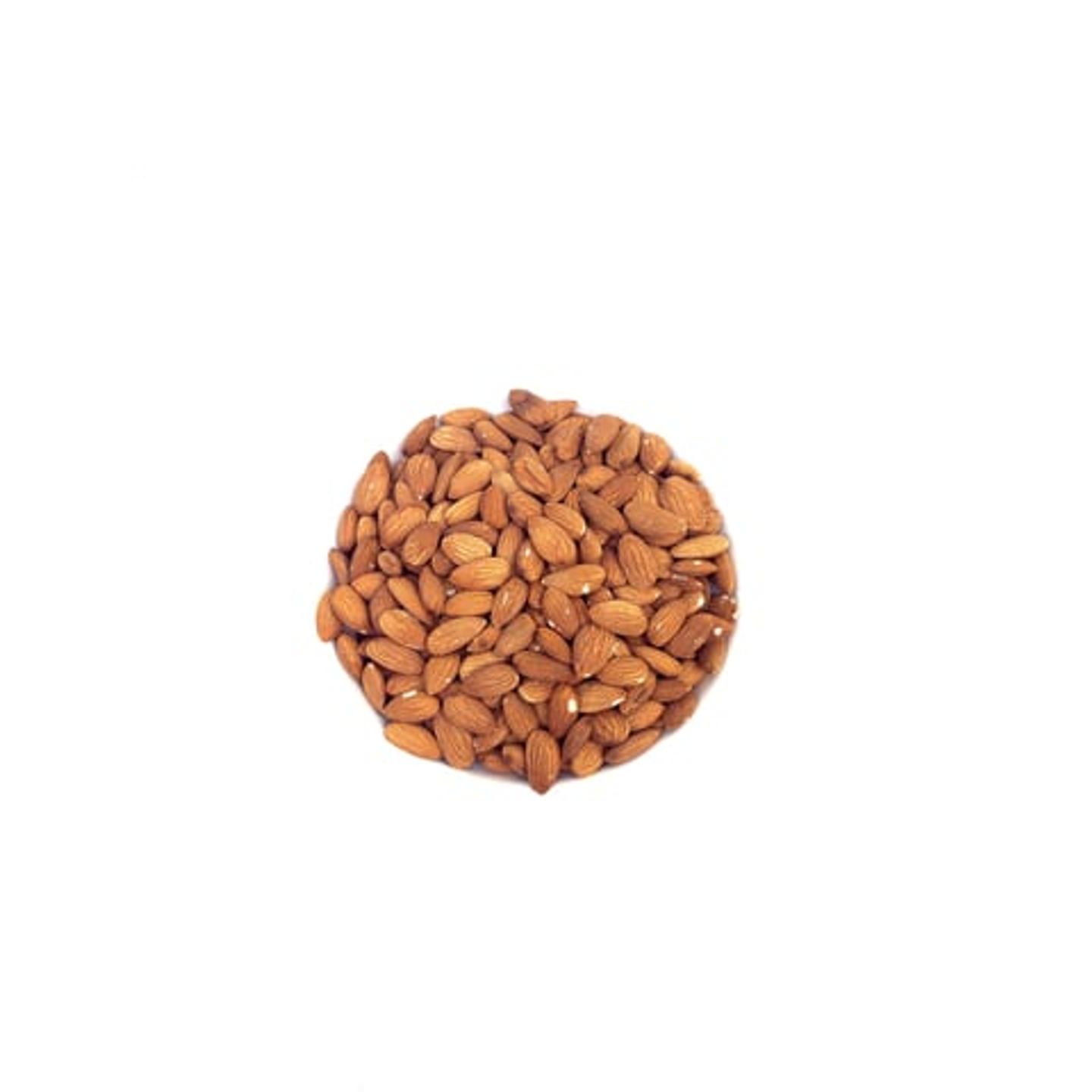 لوز امريكي نيء جامبو