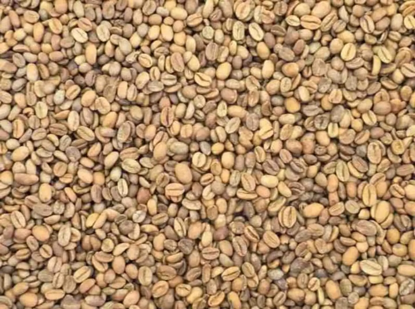 قهوة خولاني درجة اولى حمصة وسط