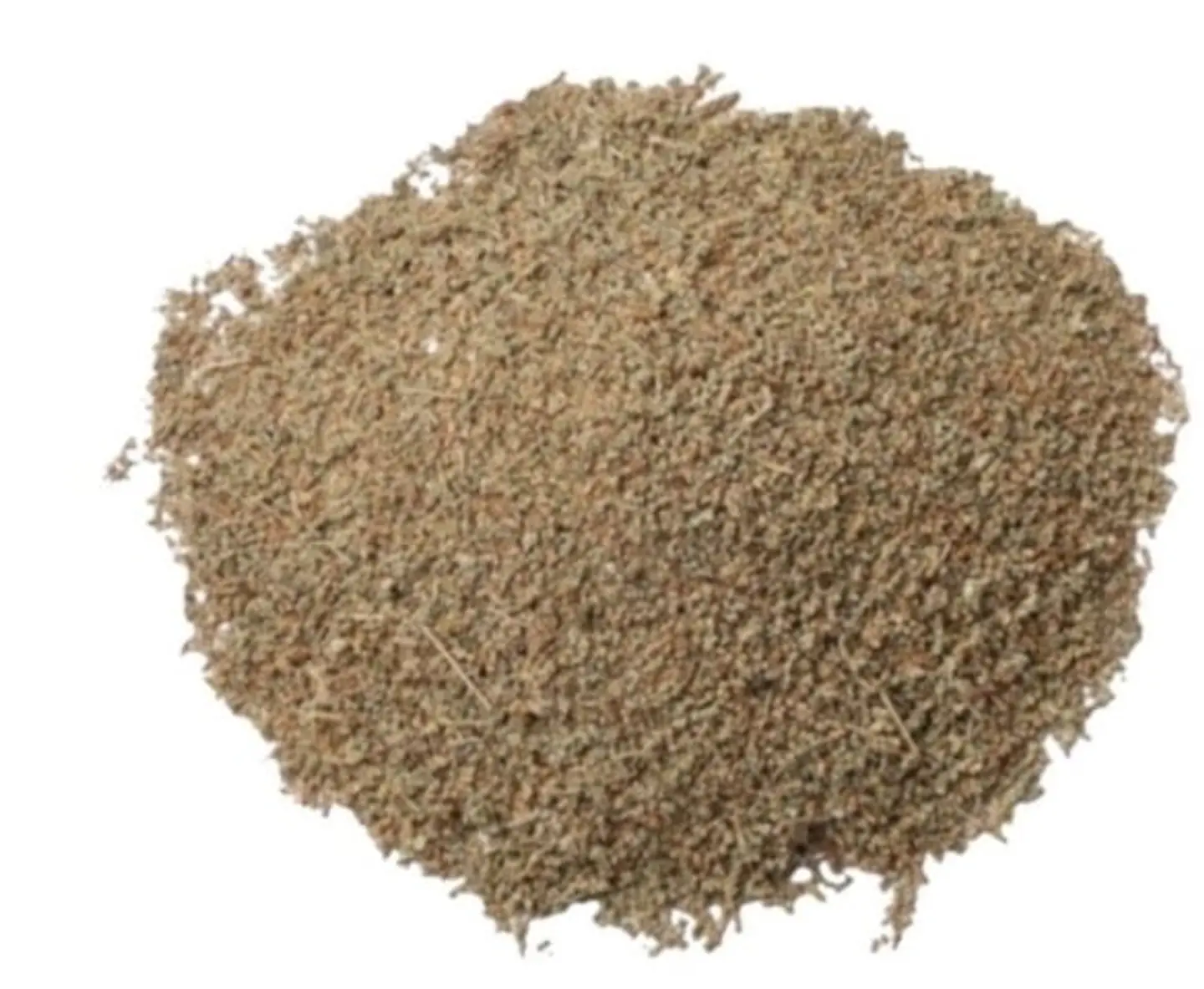 Egyptian Wormwood
