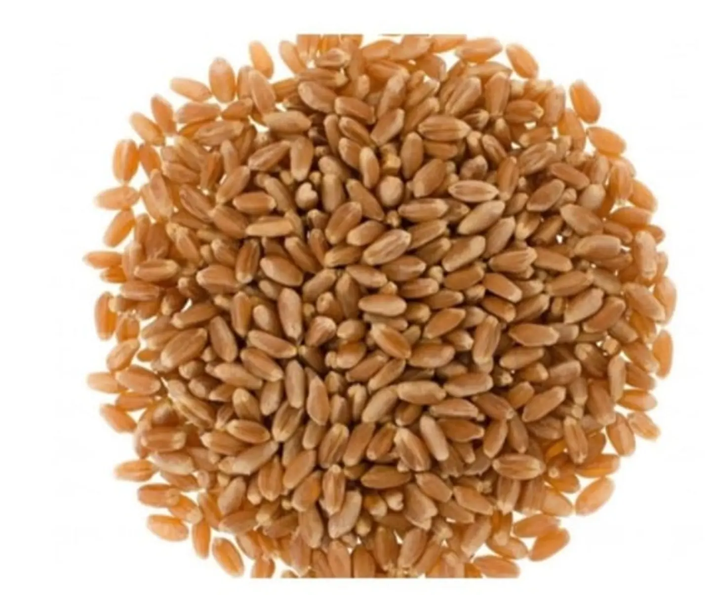 Bar Samma Al Qassim 1 Kg