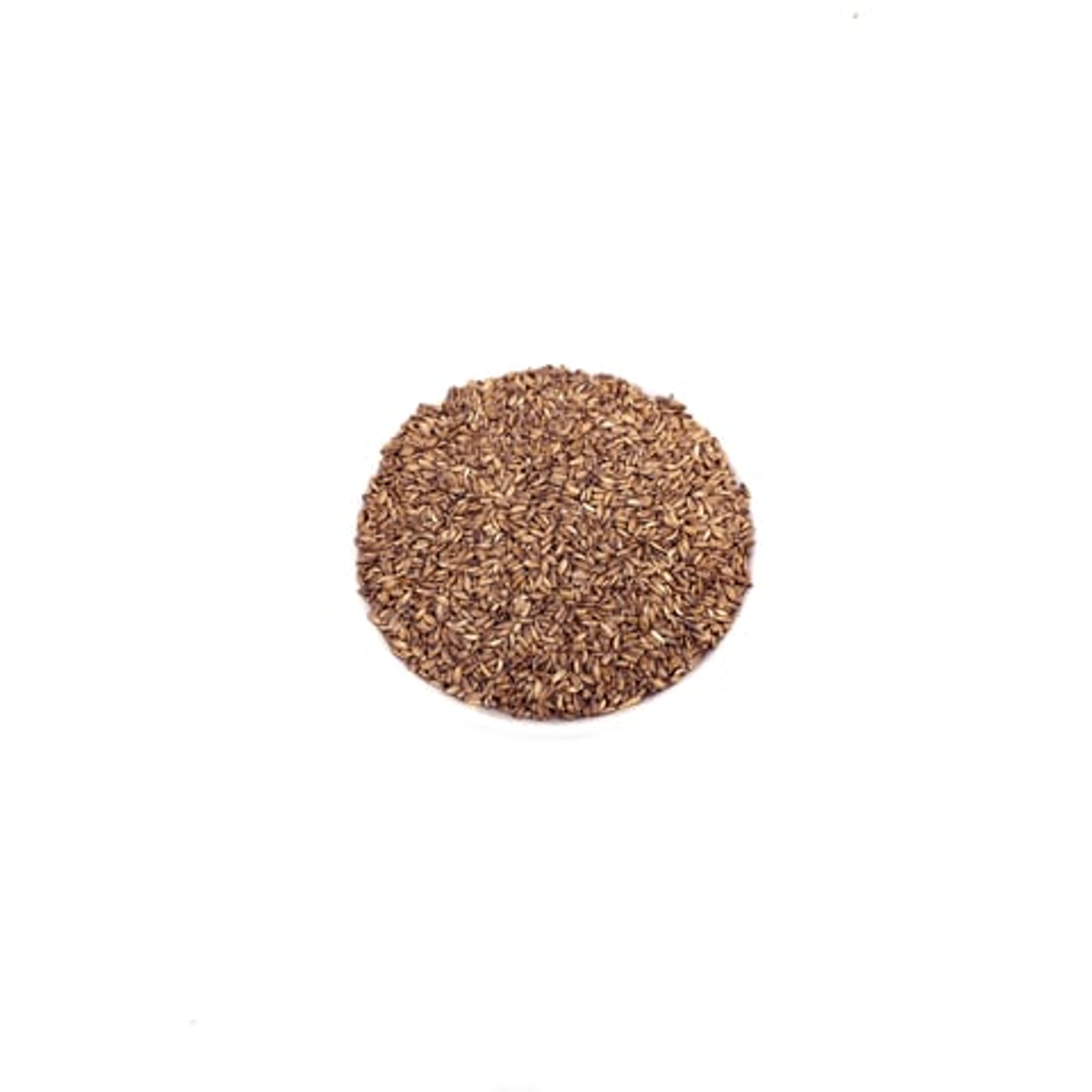 Camel Thorn Seeds