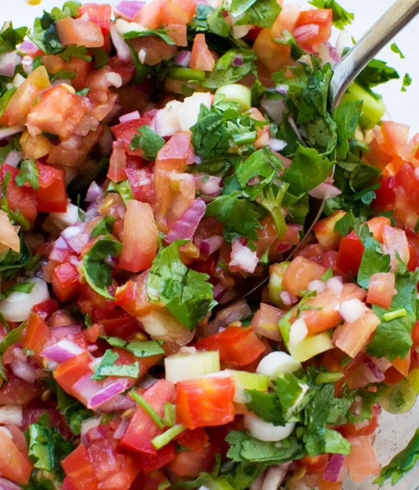 صلصة الطماطم