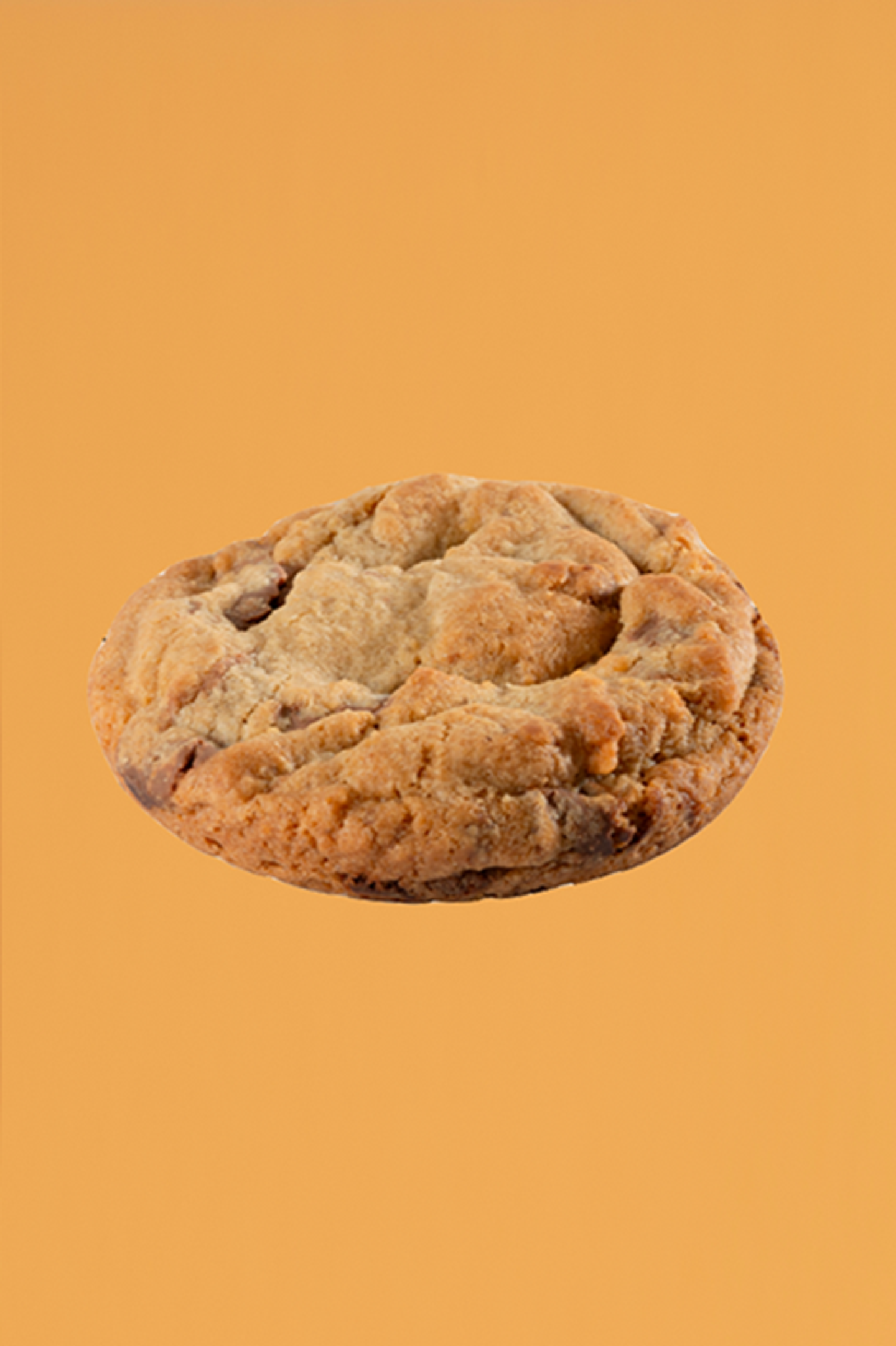 Milk Chocolate Cookies