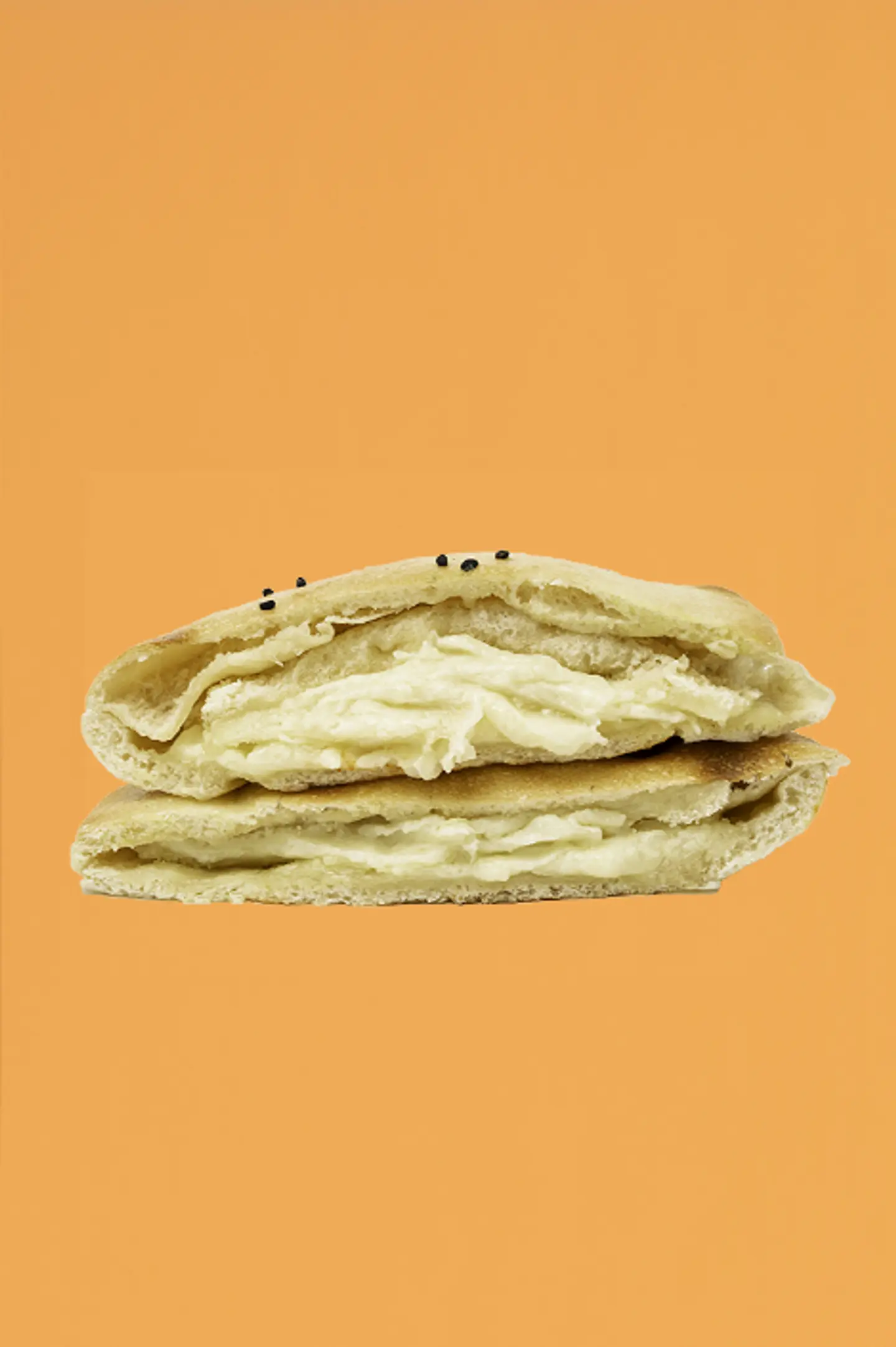 Mix Cheese Sandwich