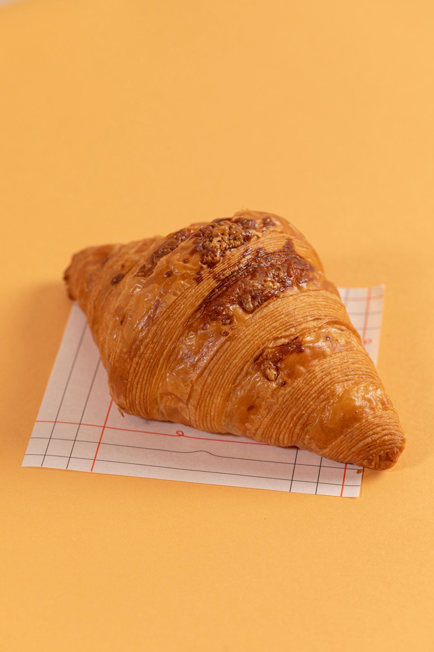 Cheese Croissant