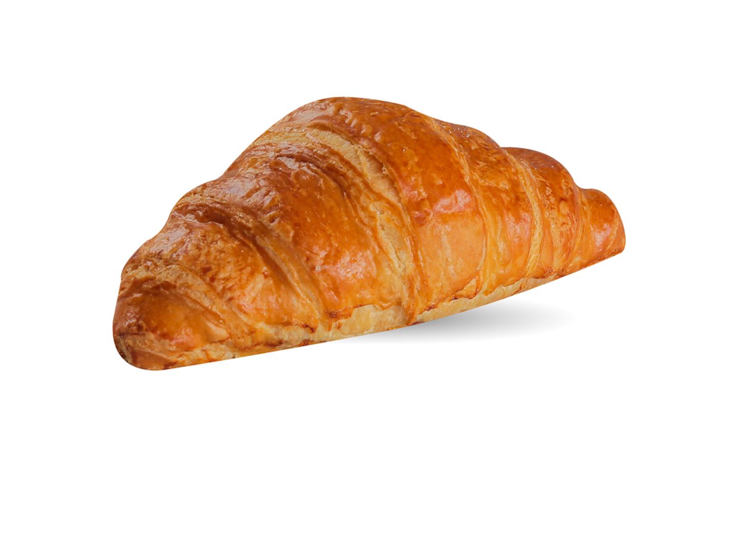 Plain Croissant