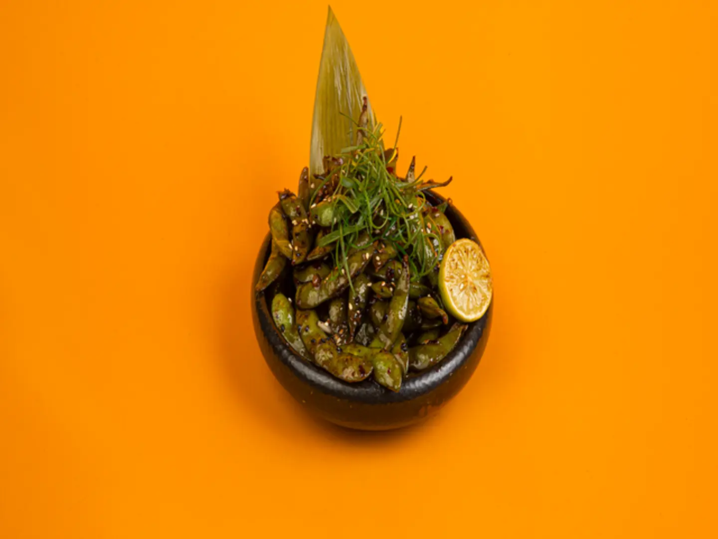 ادامامي حار