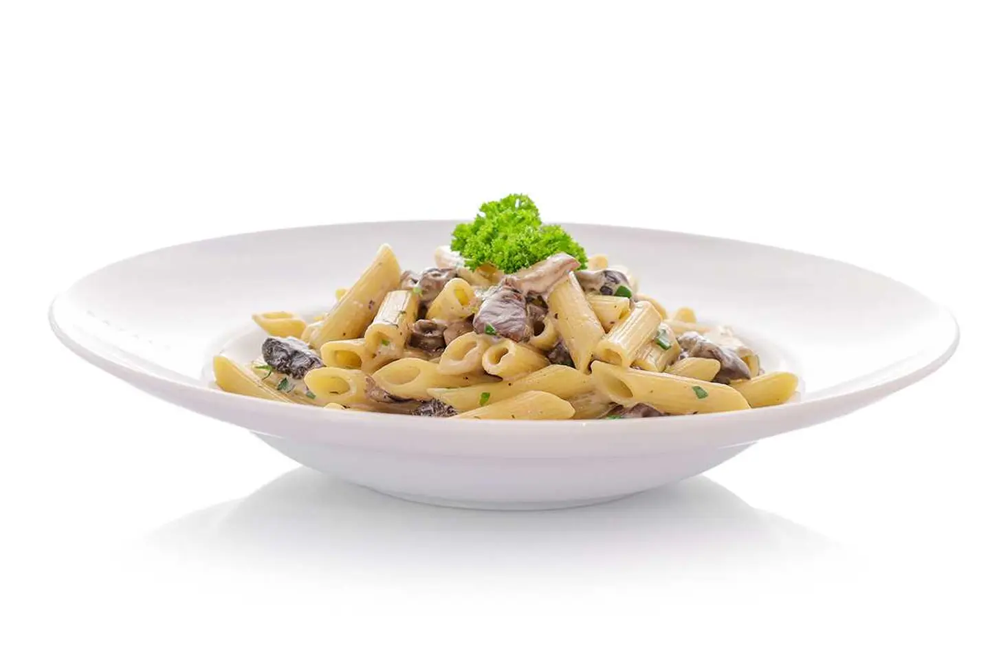 Penne Pasta Mushroom Sauce