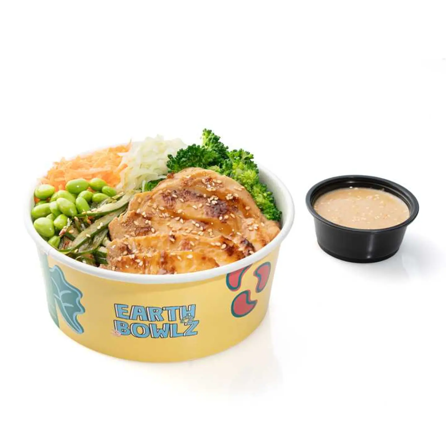 Japanese Teriyaki Bowl