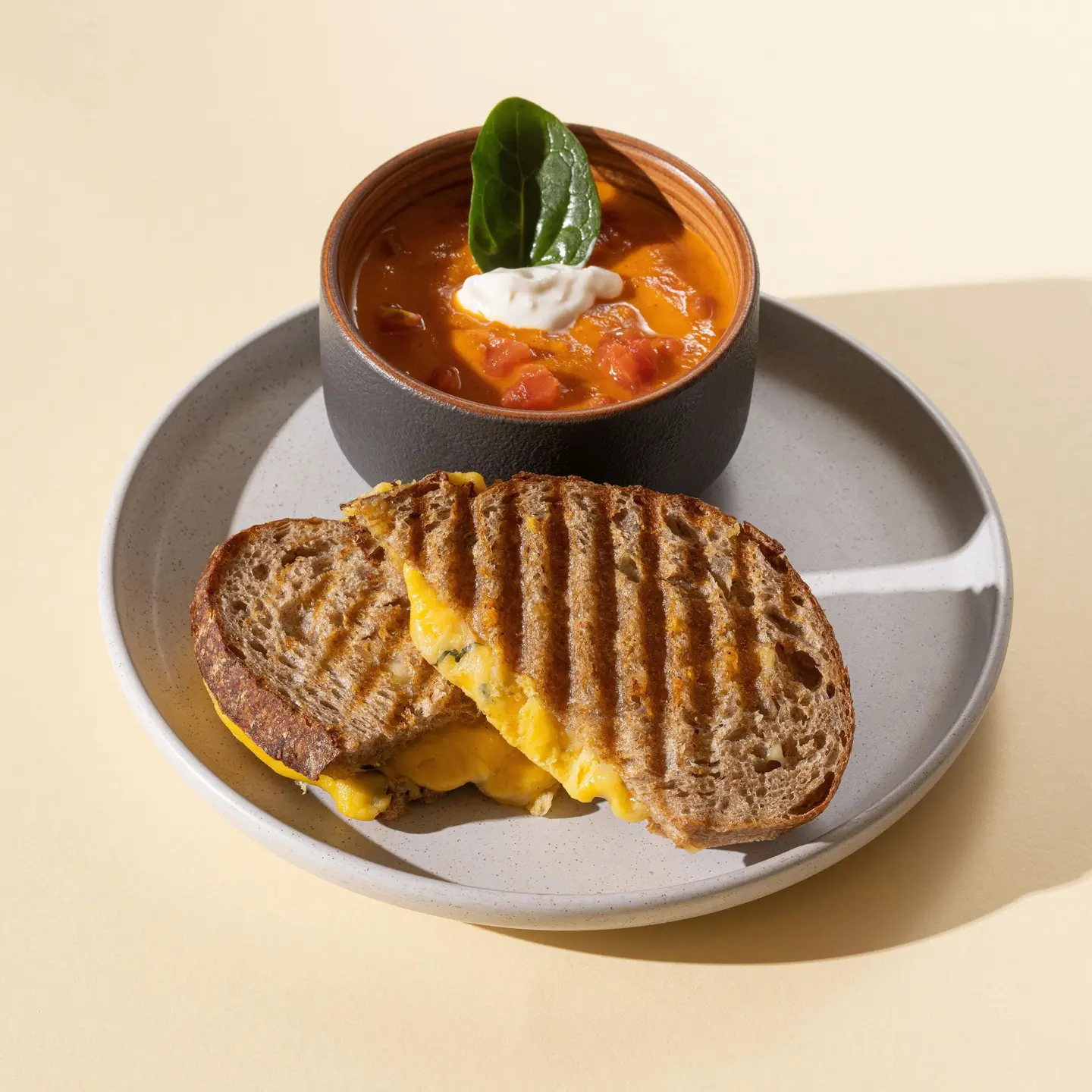 Tomato Soup With Cheese Sandwich