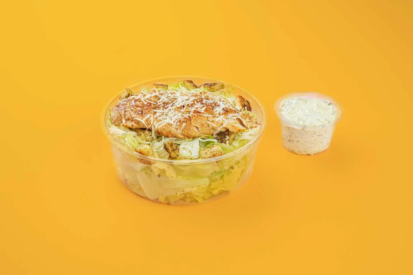 Chicken Caesar Salad