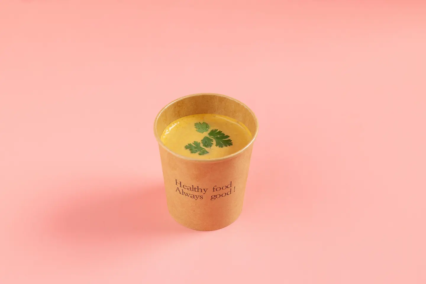 Mexican Chicken Soup